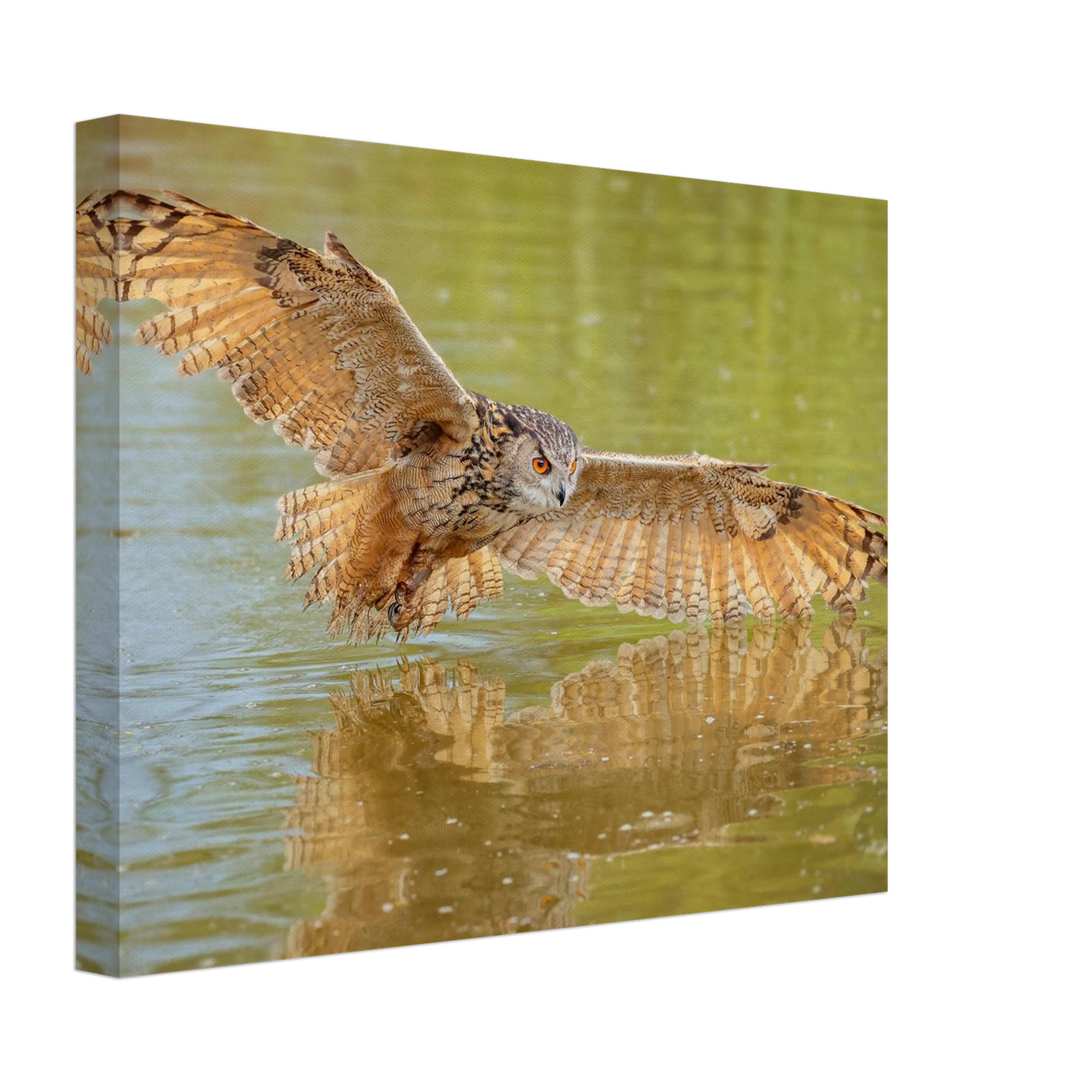 Wandbild majestaetischer uhu im jagdflug atemberaubende wildtierkunst in verschiedenen groessen