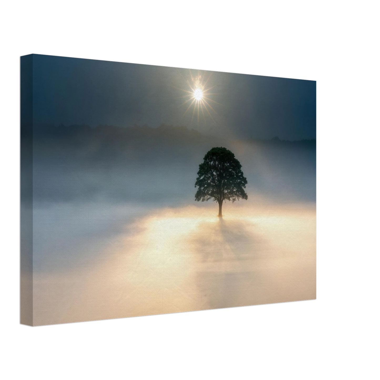 Wandbild mystisches baum wandbild einzelner baum im nebel sonnenaufgang waehlbar in verschiedenen groessen