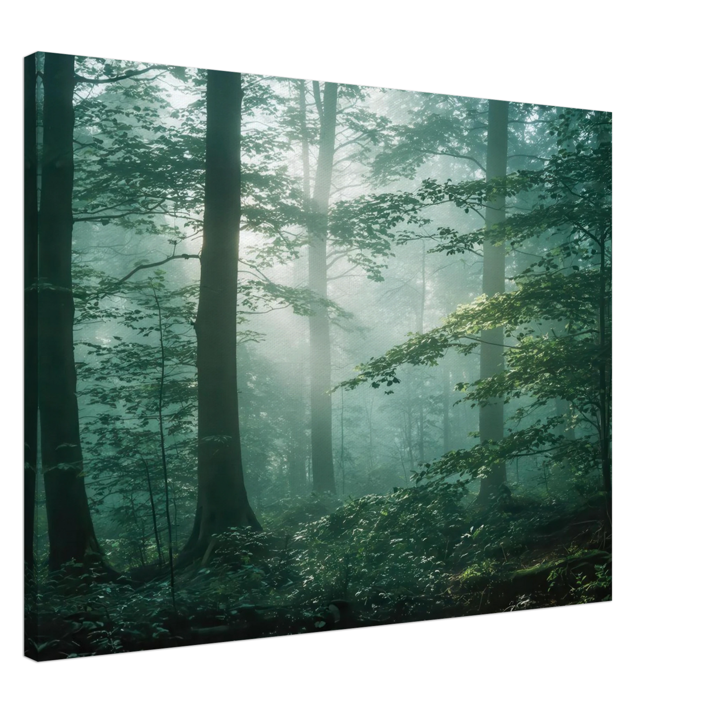 Wandbild mystischer smaragd wald mit sonnenstrahlen beruhigende nebelwald kunst in ihrer wunschgroesse
