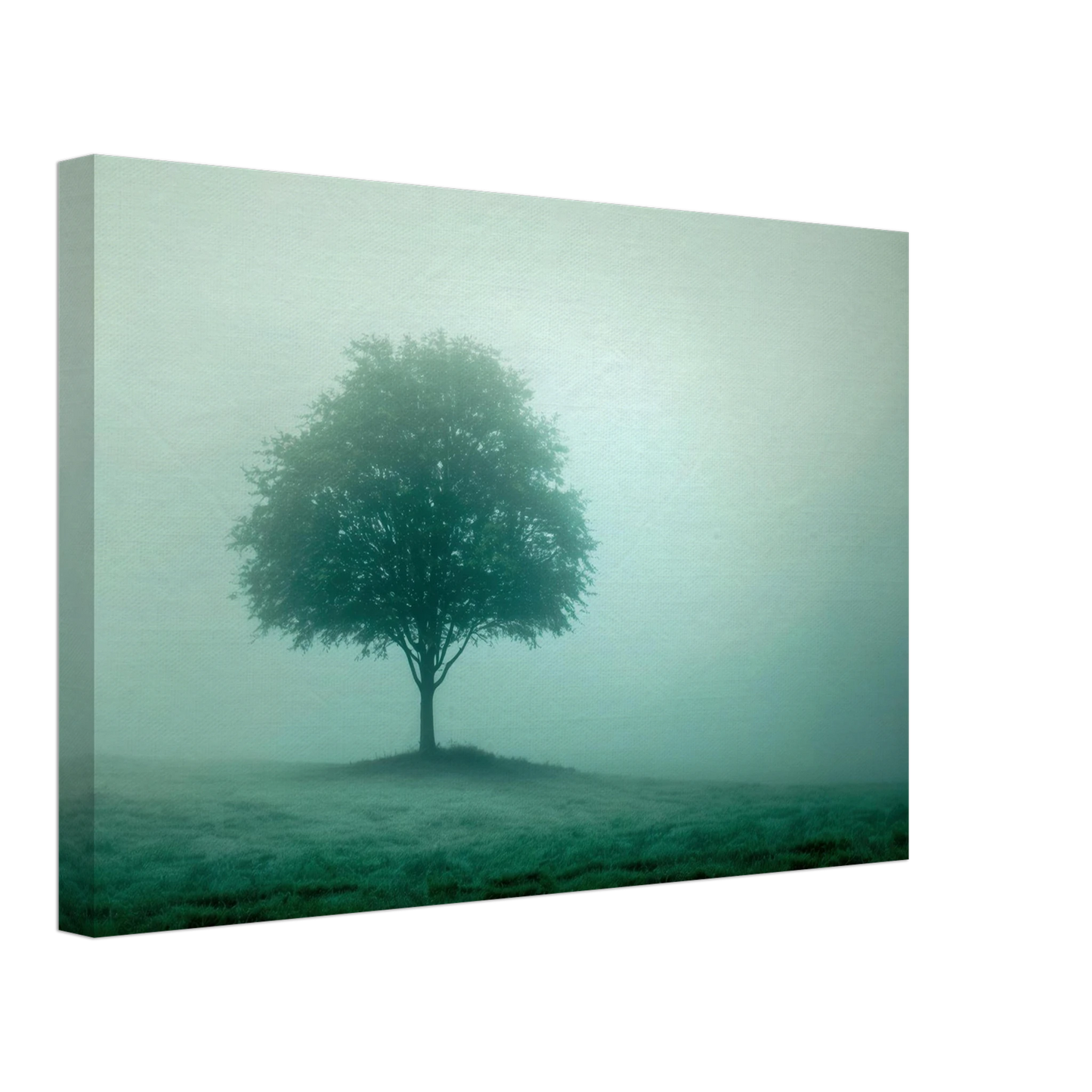 Wandbild mystischer baum im nebel ruhe und gruentoene fuer dein zuhause