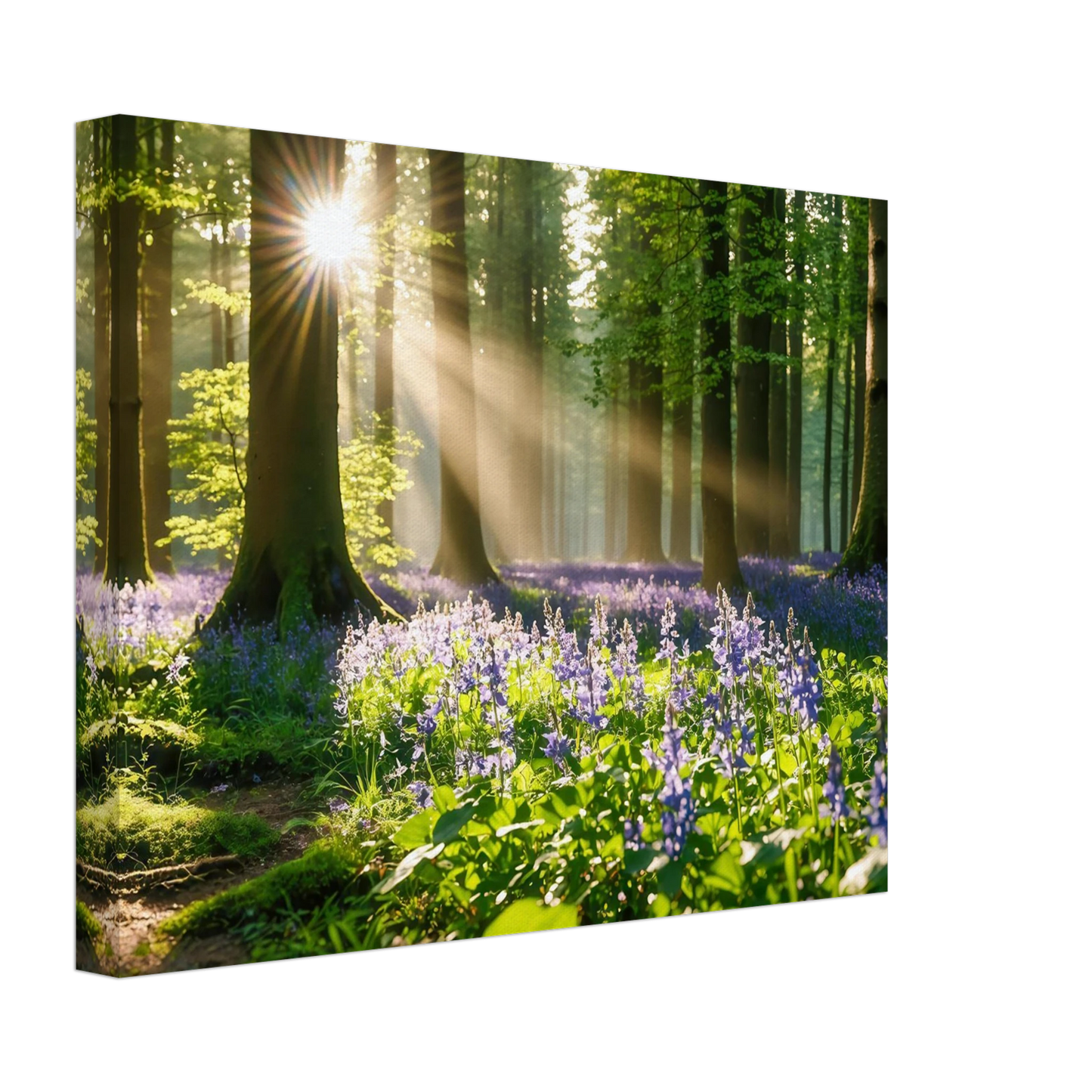 Wandbild mystischer morgenwald mit sonnenstrahlen und lila blueten in vielen groessen