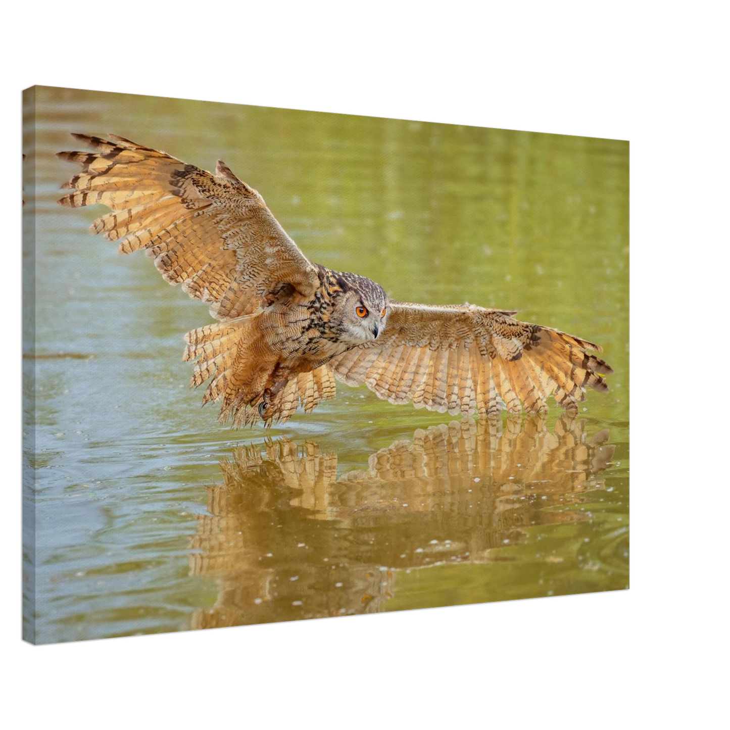 Wandbild majestaetischer uhu im jagdflug atemberaubende wildtierkunst in verschiedenen groessen