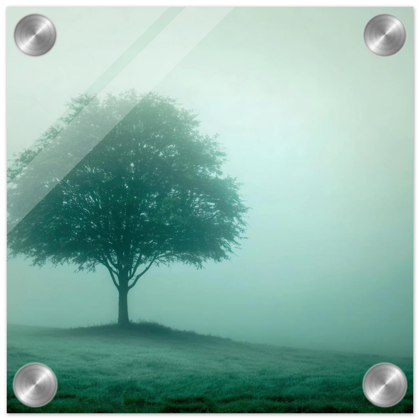 Wandbild mystischer baum im nebel ruhe und gruentoene fuer dein zuhause