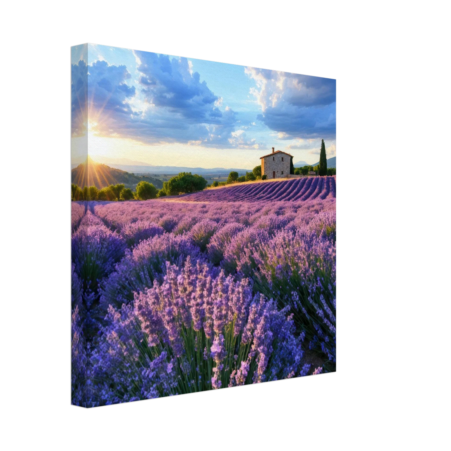 Wandbild sonnenuntergang ueber lavendelfeldern idyllische provence landschaft im wunschformat