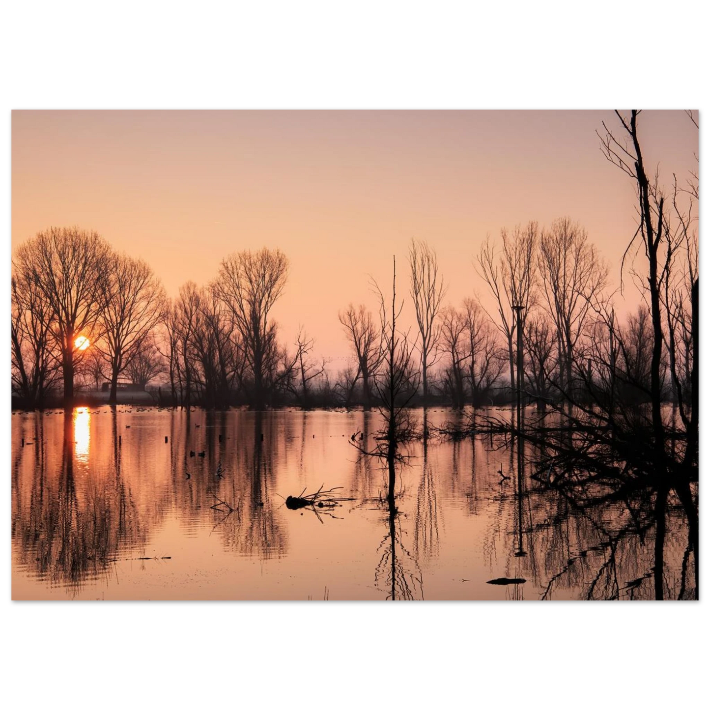 Wandbild mystischer sonnenuntergang am see vertraeumtes naturbild zum aufhaengen in ihrer wunschgroesse