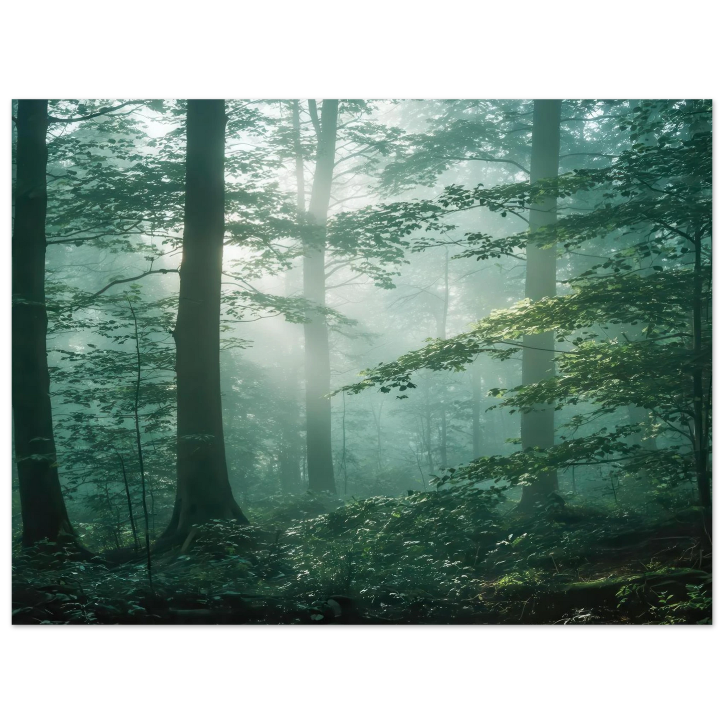Wandbild mystischer smaragd wald mit sonnenstrahlen beruhigende nebelwald kunst in ihrer wunschgroesse