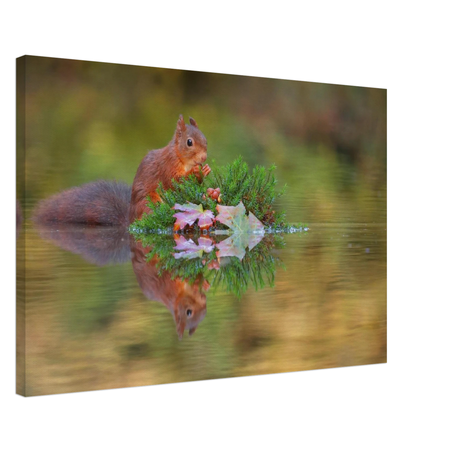 Wandbild bezauberndes eichhoernchen im herbstwald lebendige wildtierkunst fuer ihr zuhause in vielen groessen