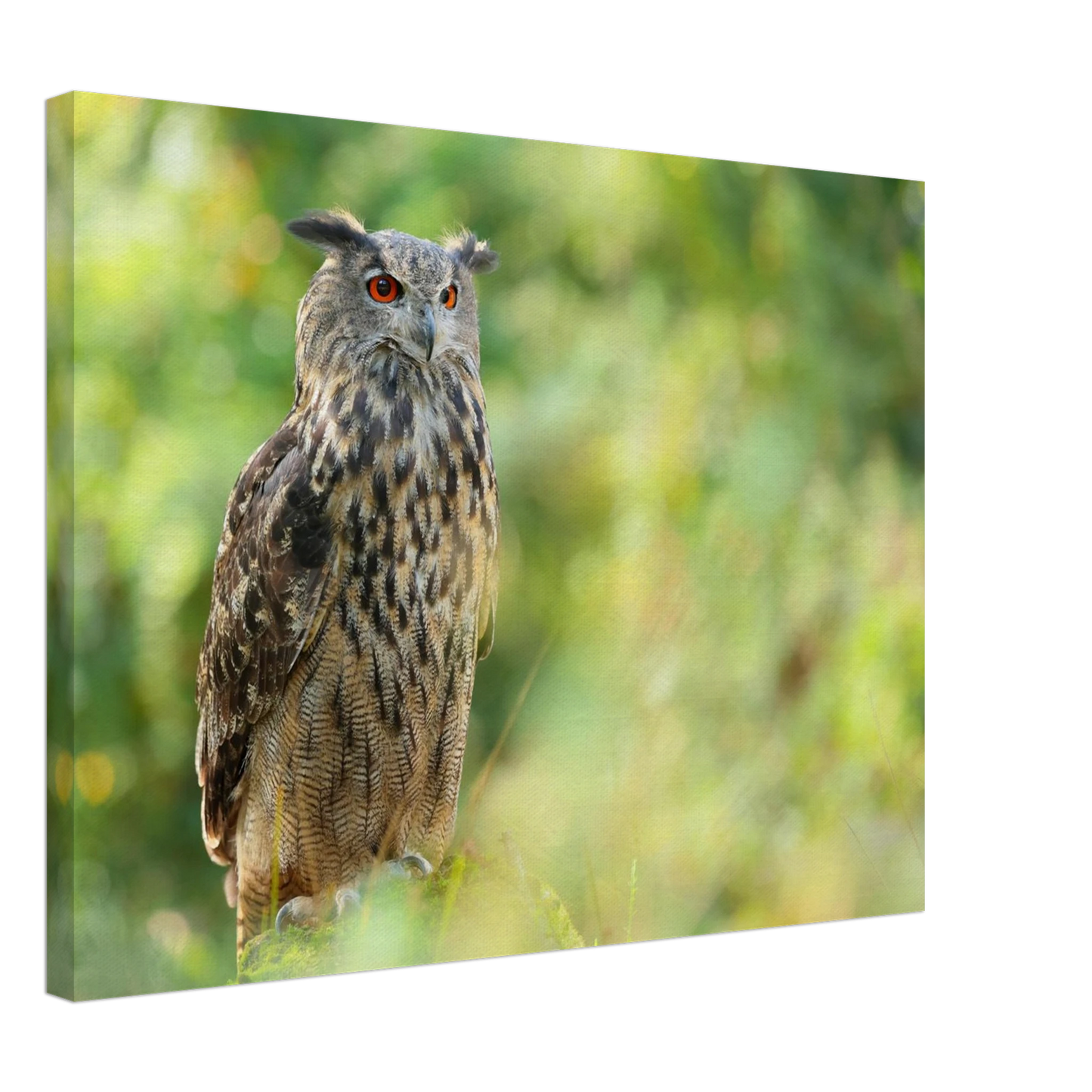 Wandbild mystische eule majestaetisches waldtier mit leuchtenden augen in ihrer wunschgroesse