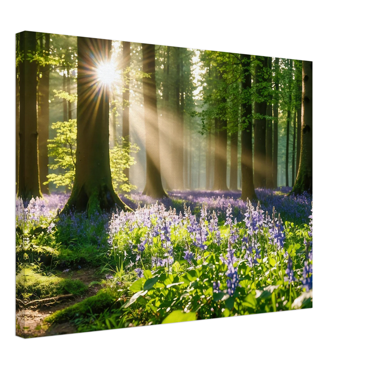 Wandbild mystischer morgenwald mit sonnenstrahlen und lila blueten in vielen groessen