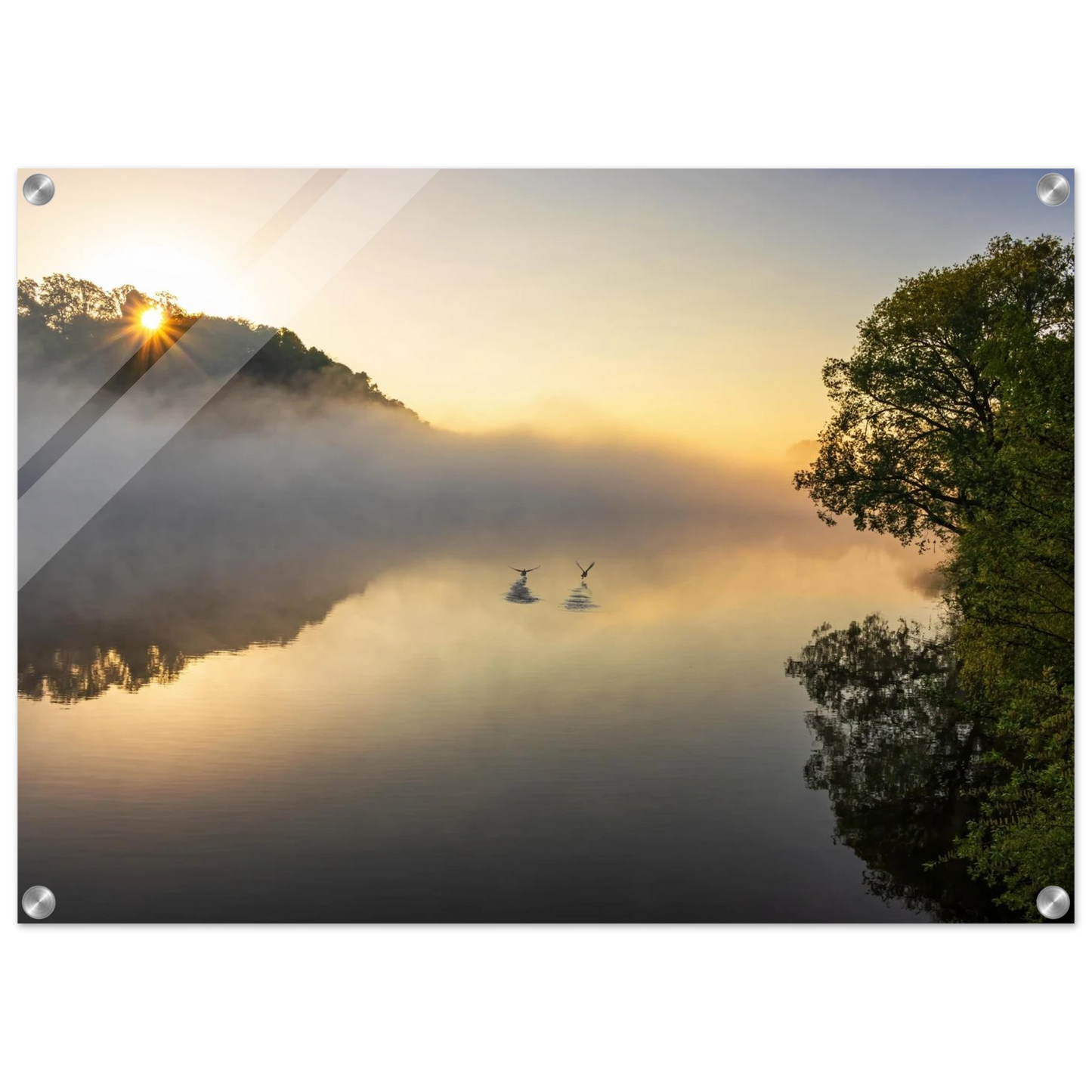 Wandbild mystischer sonnenaufgang ueber dem nebelmeer stille wasser voegel leinwandbild fuer ihr zuhause