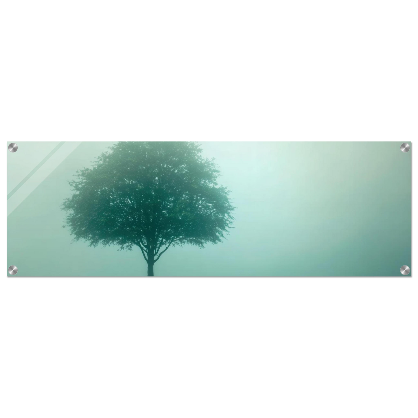 Wandbild mystischer baum im nebel ruhe und gruentoene fuer dein zuhause