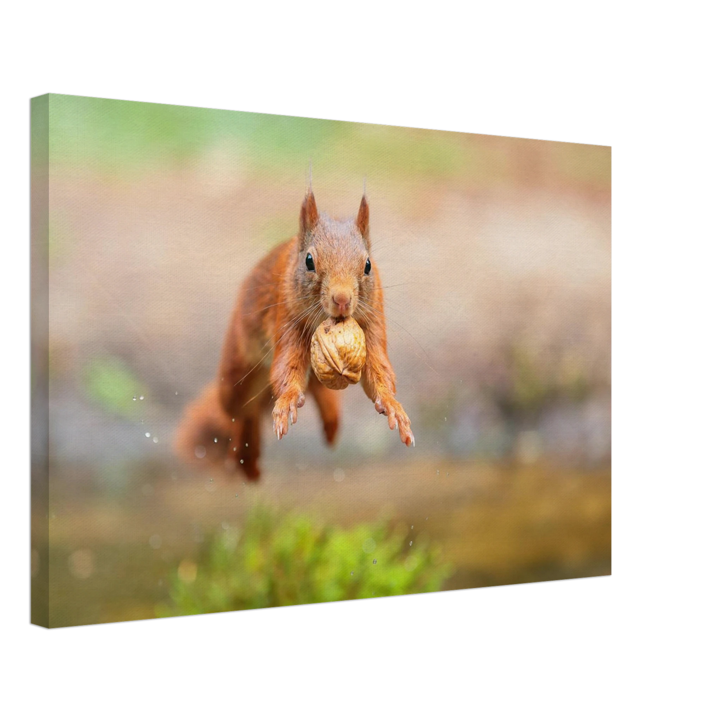 Wandbild eichhoernchens freudensprung dynamische tierkunst in leuchtenden farben