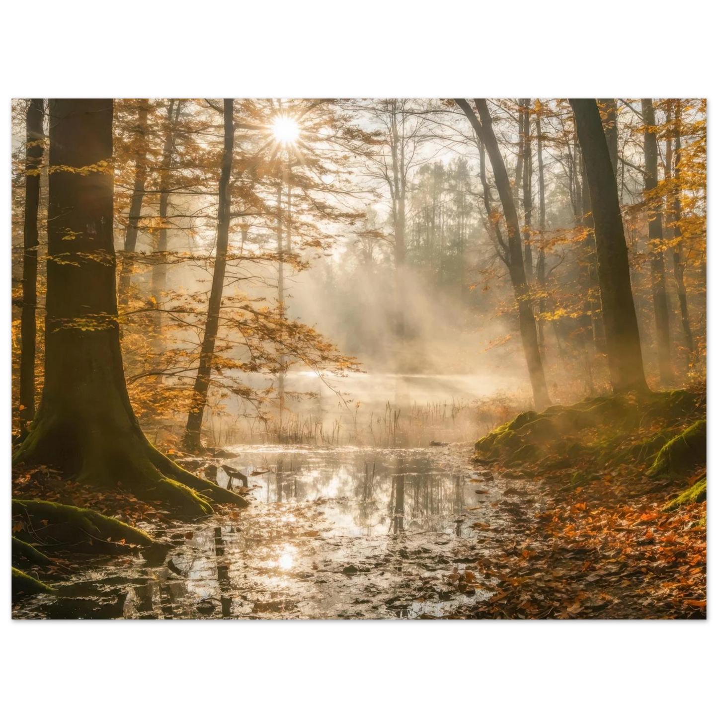 d6903f32-e178-43fe-a500-29e60733156e
