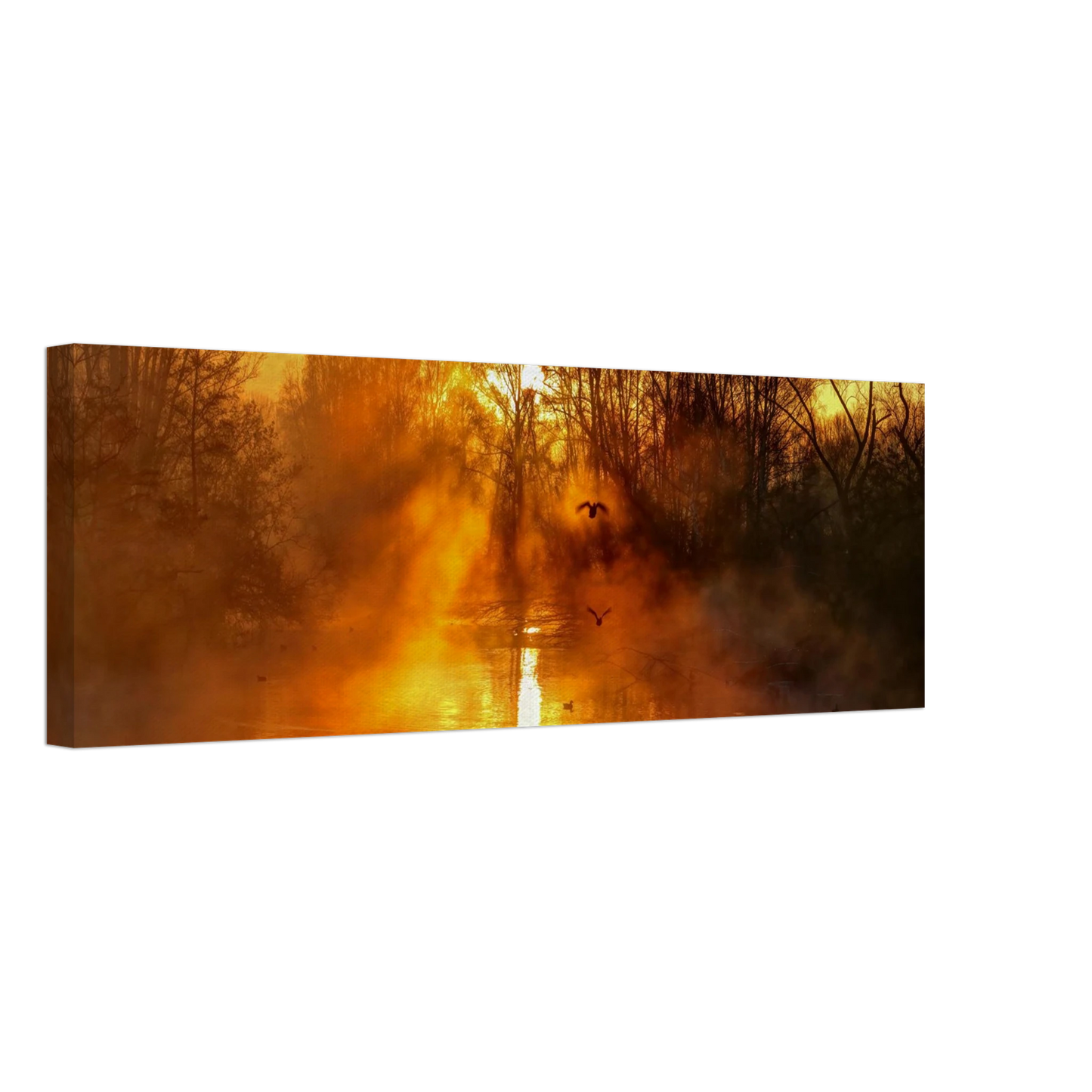 Wandbild Goldene morgenroete wandbild nebelwald poster in 25 groessenausfuehrungen