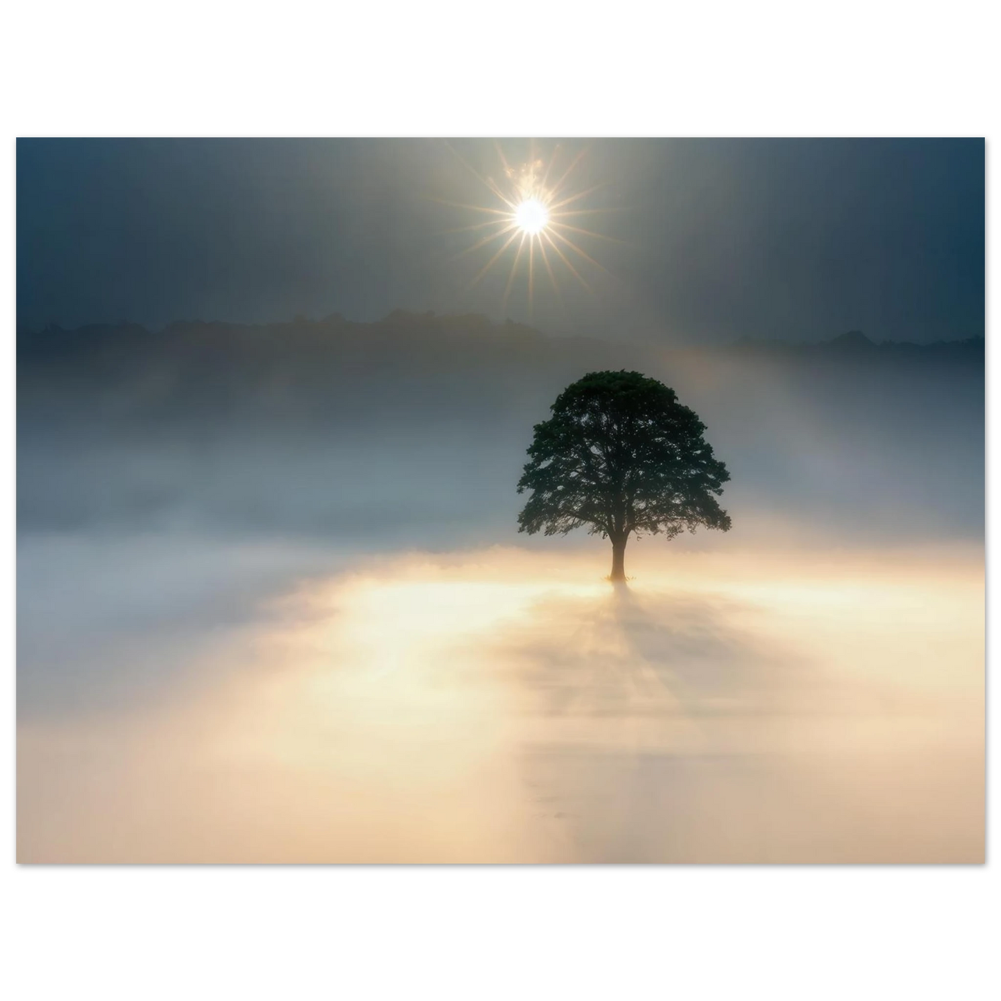 Wandbild mystisches baum wandbild einzelner baum im nebel sonnenaufgang waehlbar in verschiedenen groessen