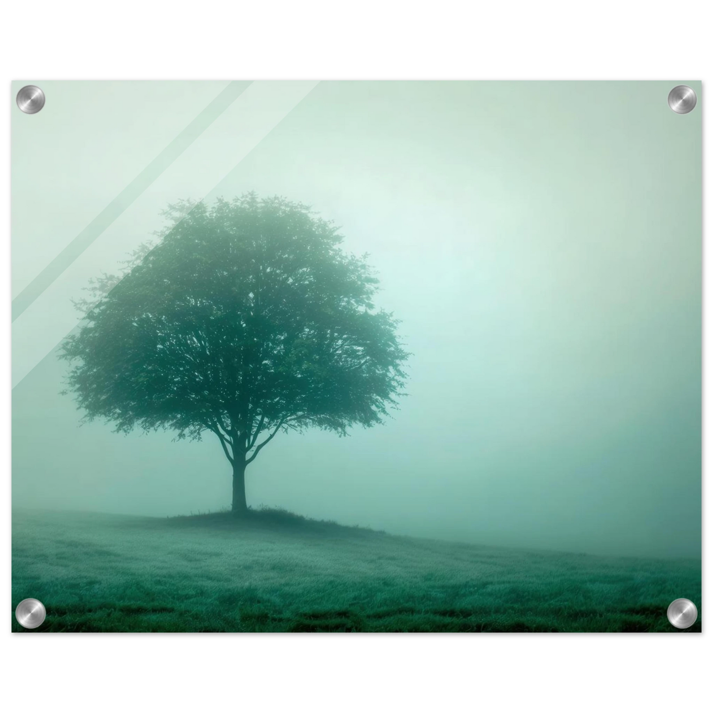 Wandbild mystischer baum im nebel ruhe und gruentoene fuer dein zuhause