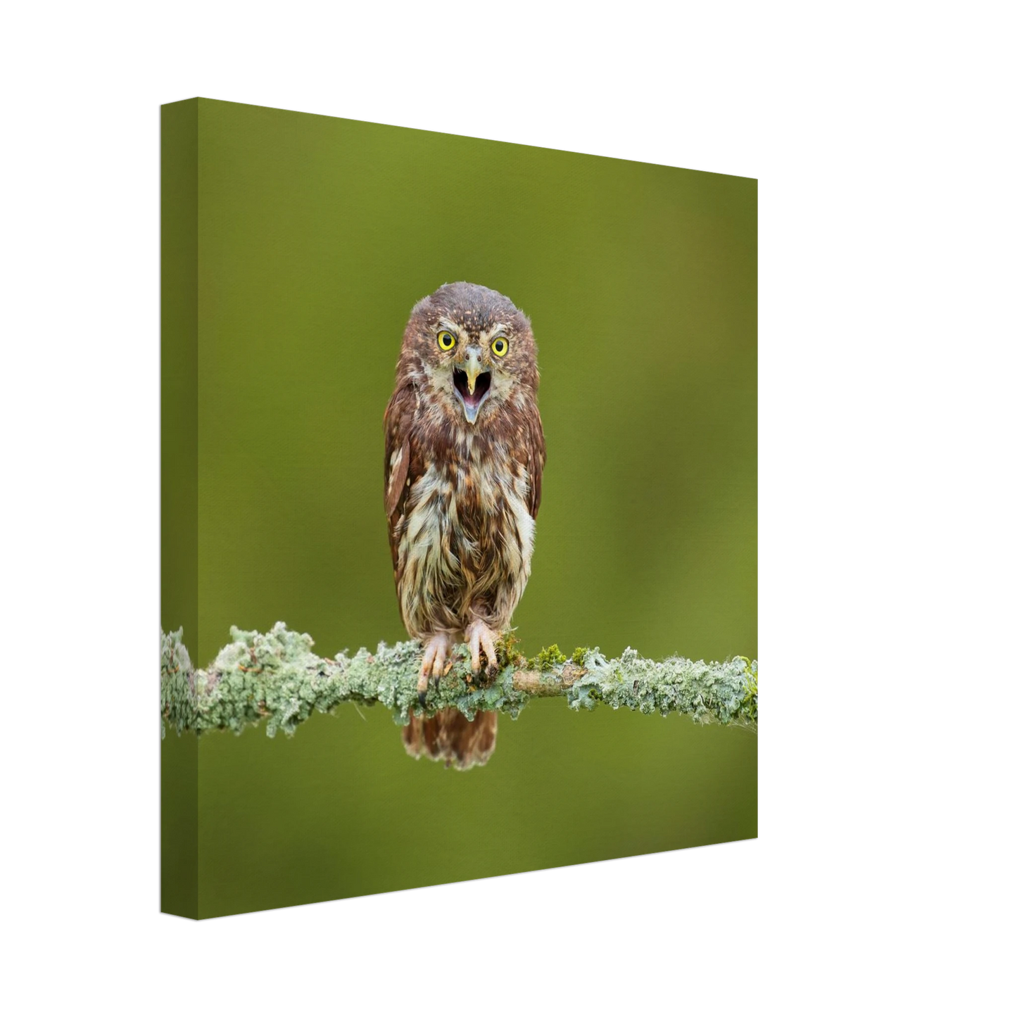 Wandbild rufer der wildnis faszinierendes eulen portraet mit leuchtenden augen fuer ihr zuhause