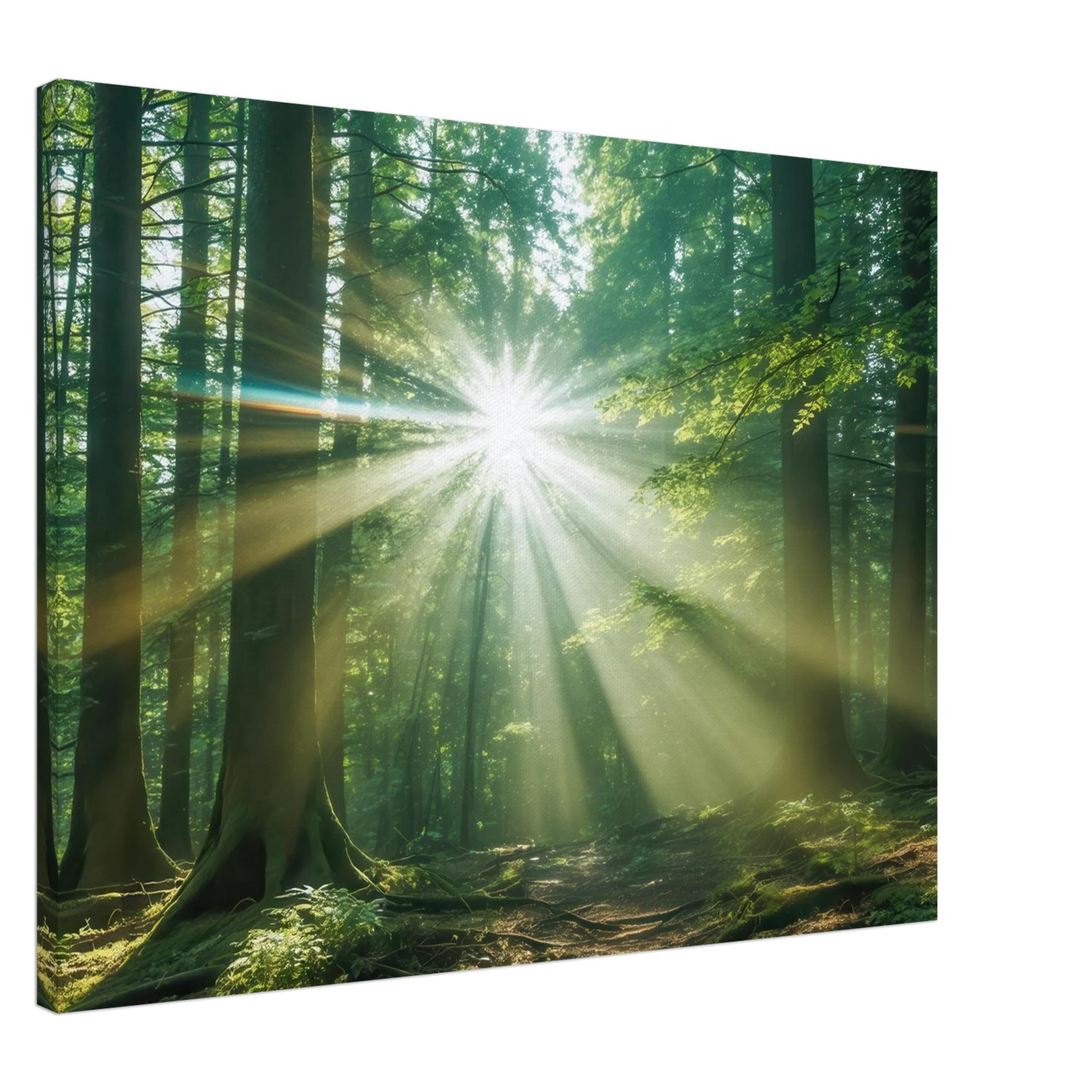 Wandbild sonnenstrahlen im wald mystisches waldlicht kunstdruck in ihrer wunschgroesse