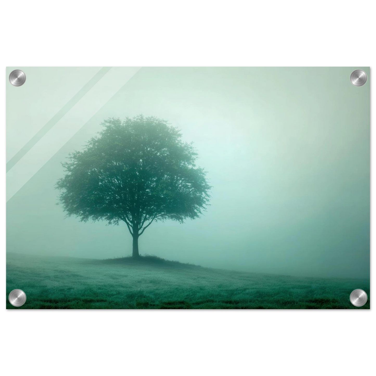 Wandbild mystischer baum im nebel ruhe und gruentoene fuer dein zuhause