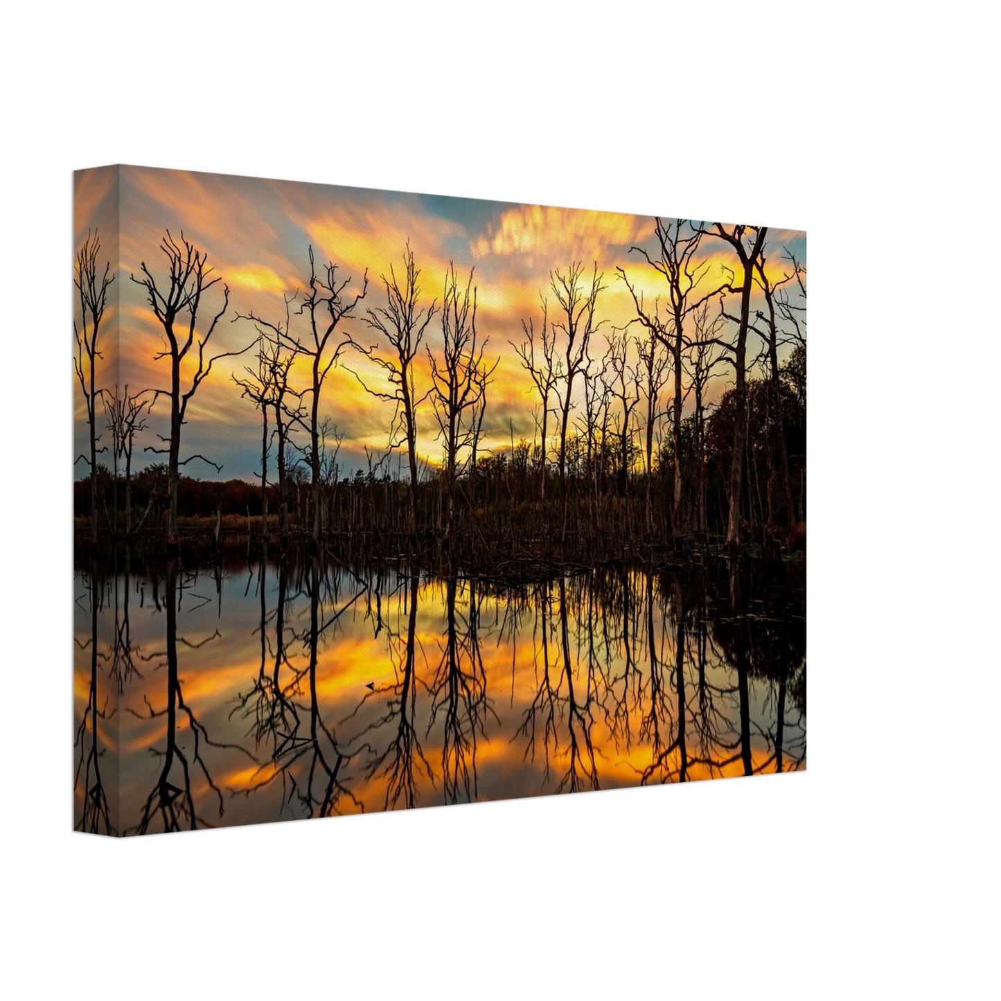 Wandbild mystischer sonnenuntergang ueber dem baumsee lebendige kunstdrucke in vielen groessen