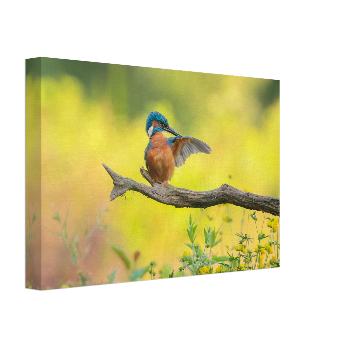 Wandbild eisvogel lebendige naturkunst fuer ihr zuhause