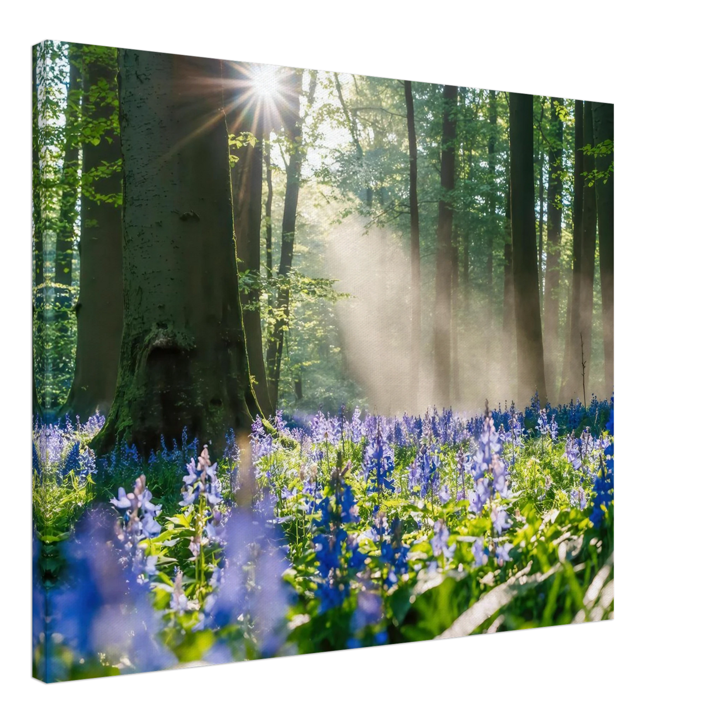 Wandbild mystische waldlichtung mit blauen glockenblumen sonnenverwoehntes naturbild in verschiedenen groessen