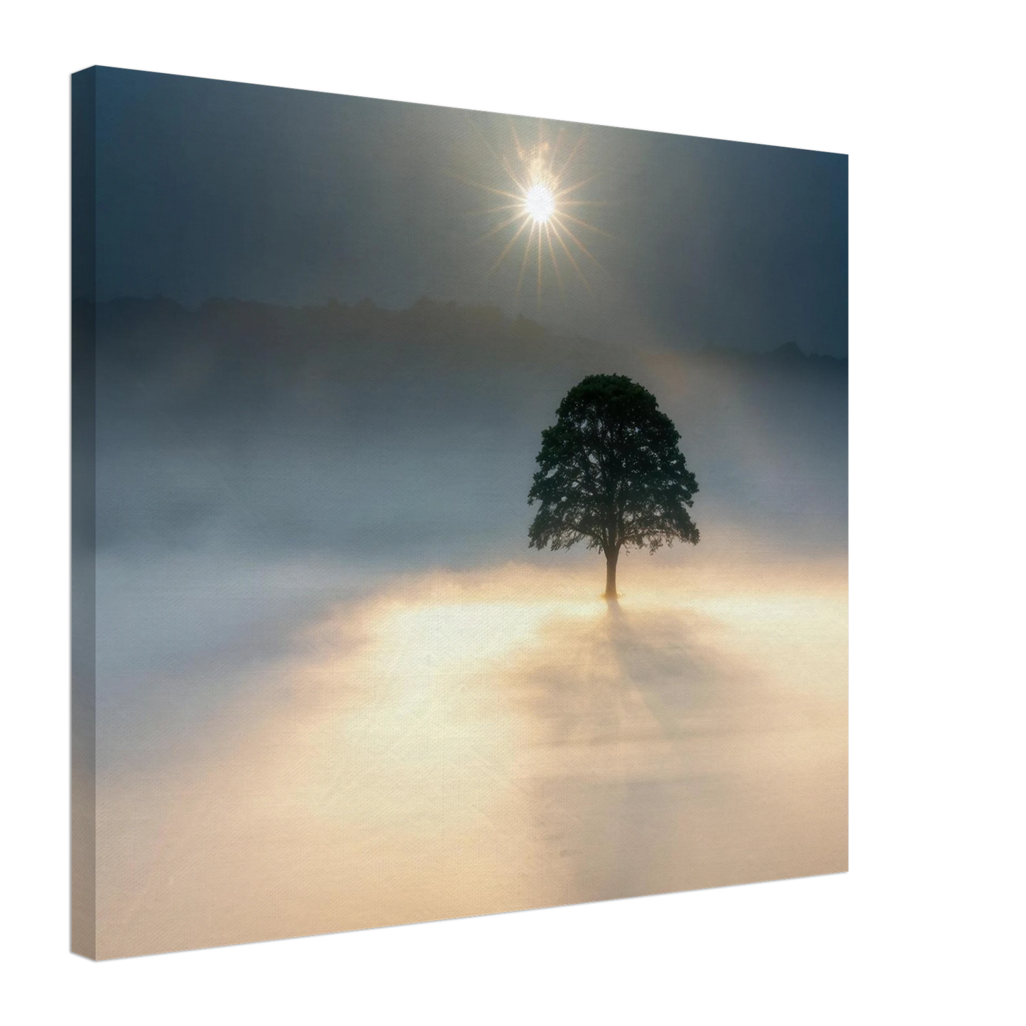 Wandbild mystisches baum wandbild einzelner baum im nebel sonnenaufgang waehlbar in verschiedenen groessen