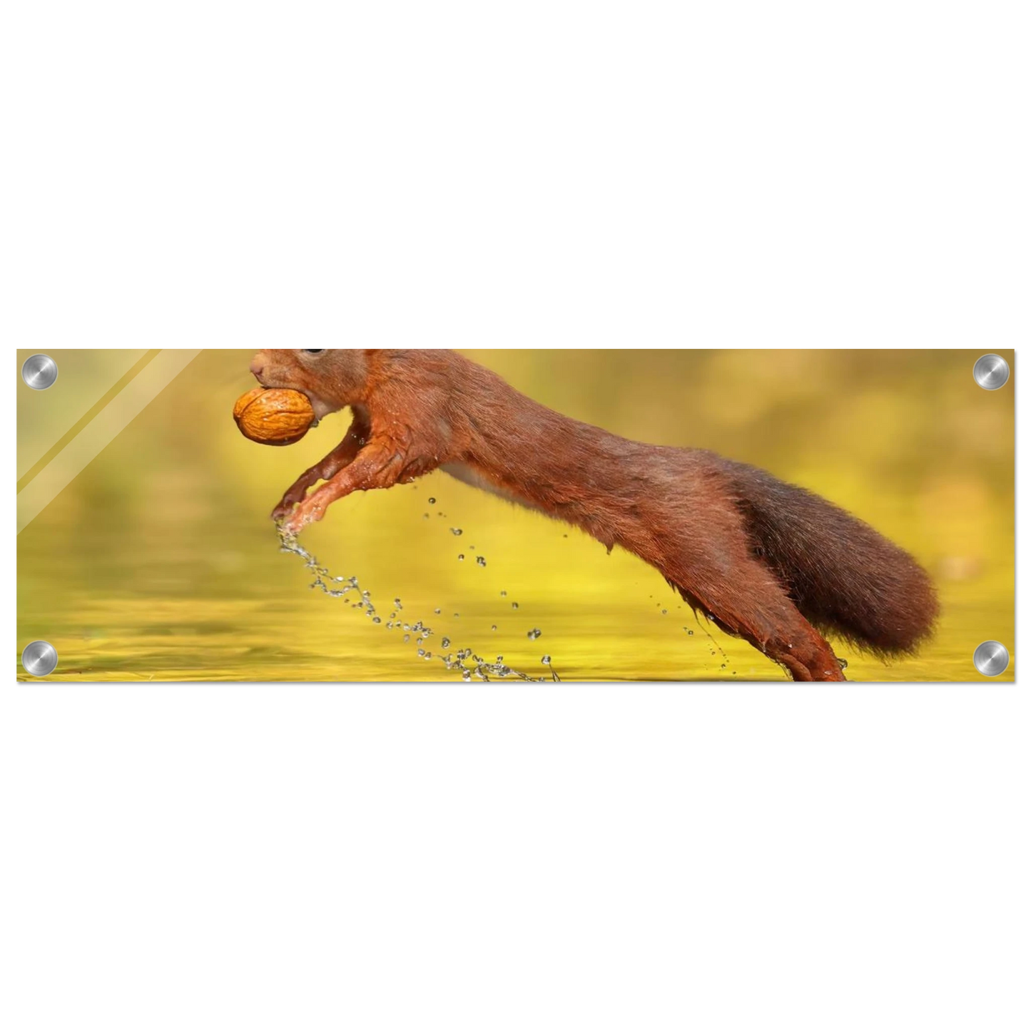 Wandbild eichhoernchen dynamische eichhoernchen kunst in lebhaften herbsttoenen