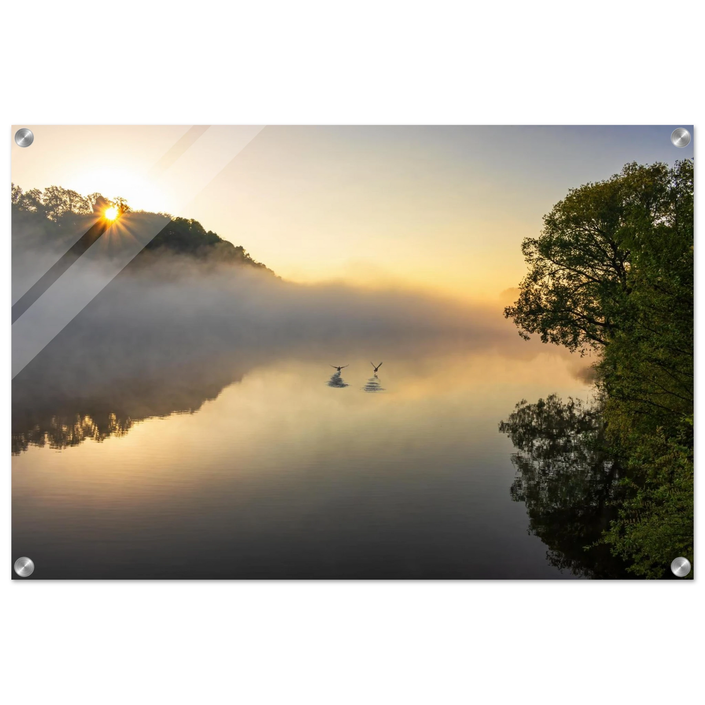 Wandbild mystischer sonnenaufgang ueber dem nebelmeer stille wasser voegel leinwandbild fuer ihr zuhause