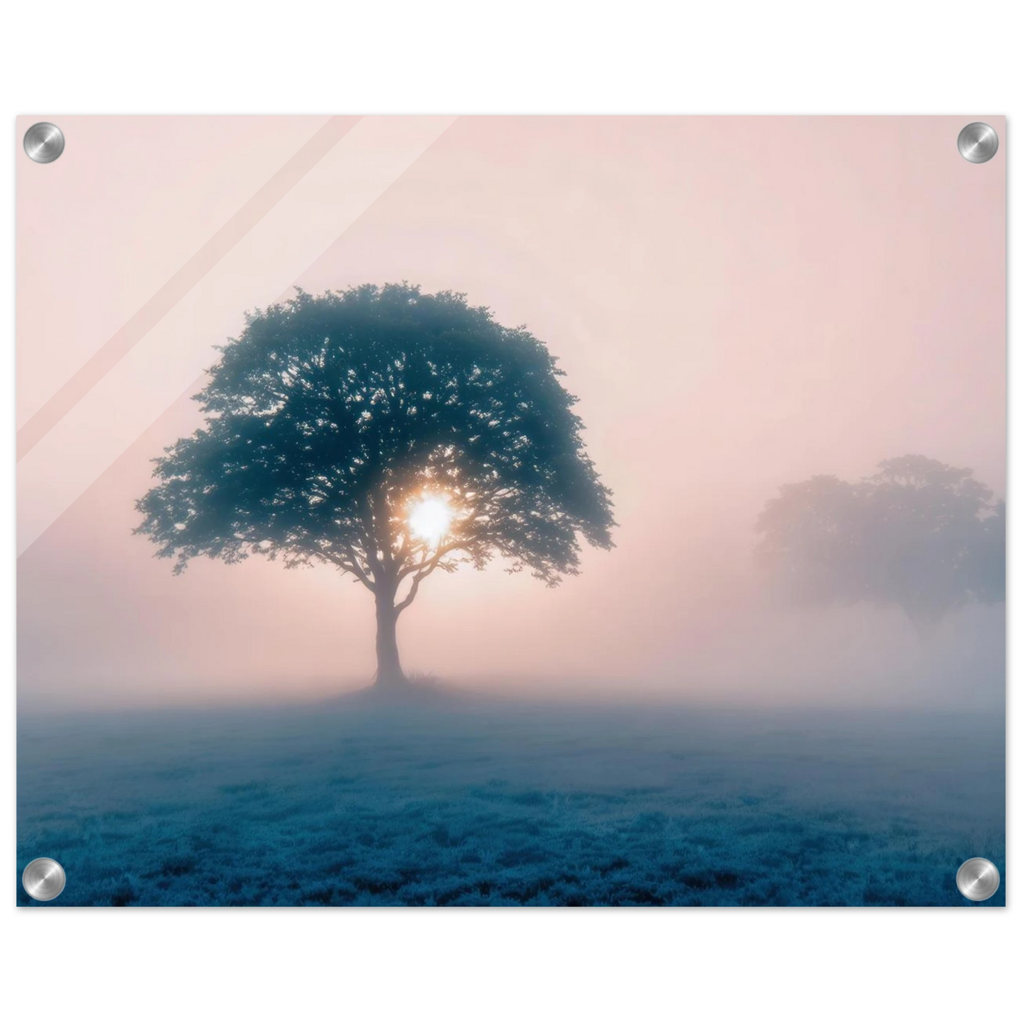 Wandbild mystischer morgendaemmerung baum traumhaftes landschaftsbild fuer ihre wohlfuehloase