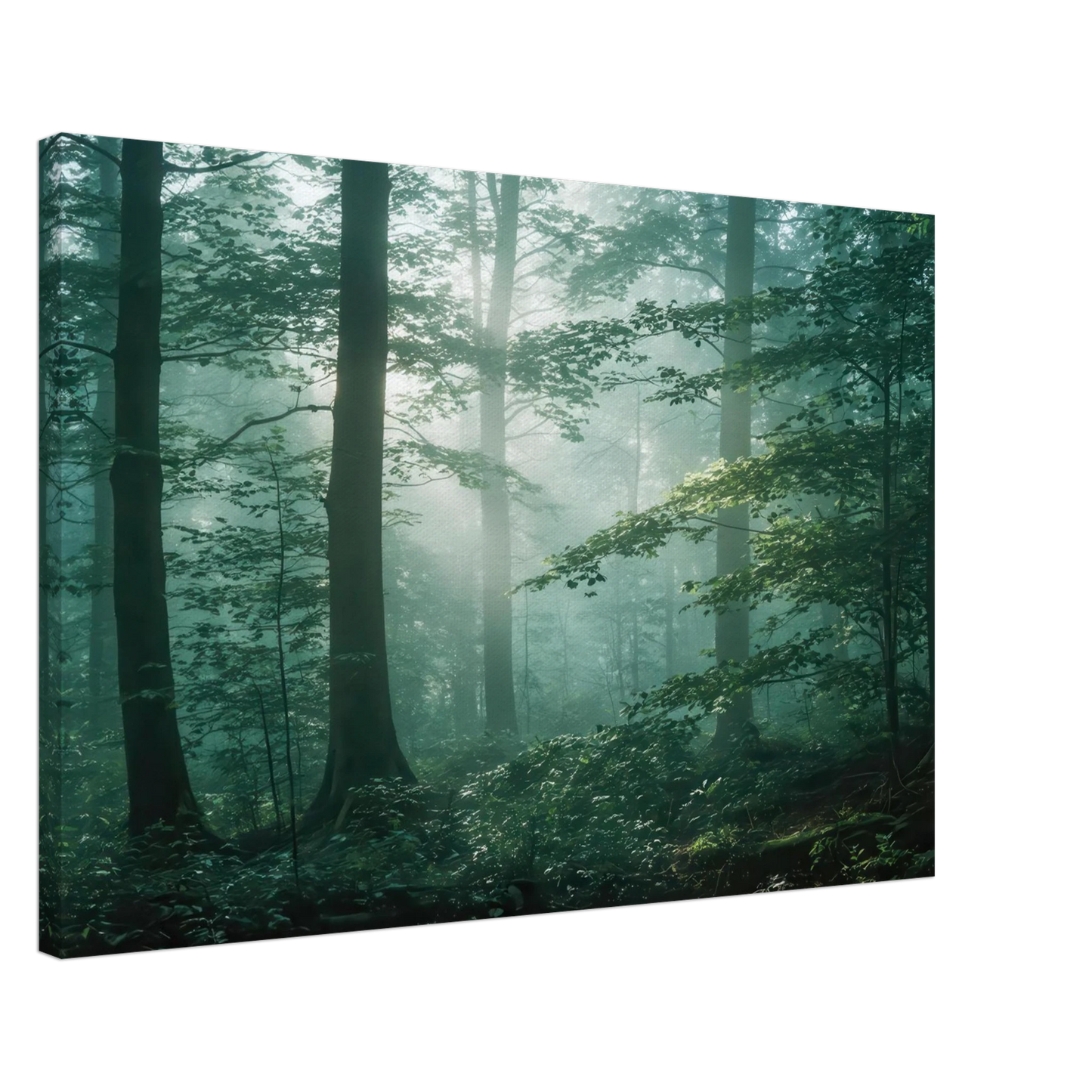 Wandbild mystischer smaragd wald mit sonnenstrahlen beruhigende nebelwald kunst in ihrer wunschgroesse