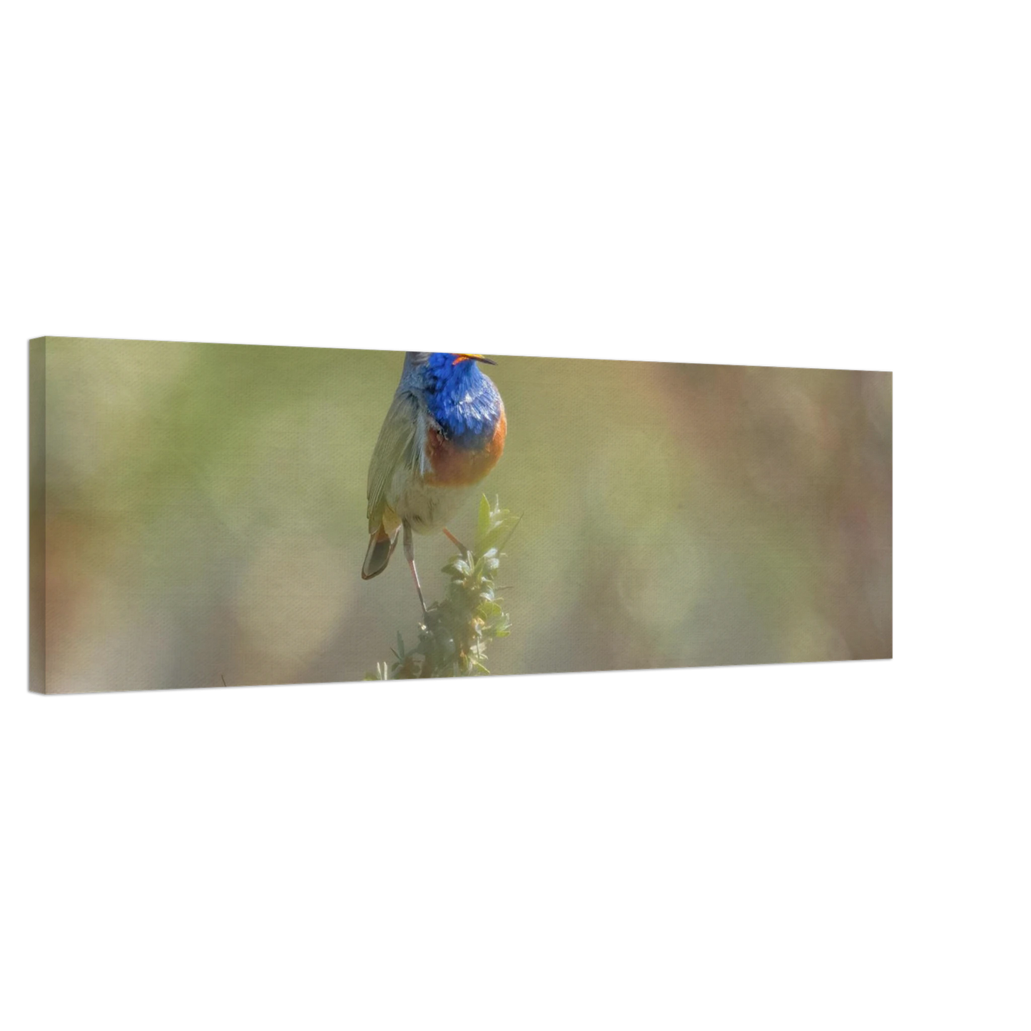 Wandbild singvogel in blautoenen lebendige vogelkunst fuer ihr zuhause in ihrer wunschgroesse
