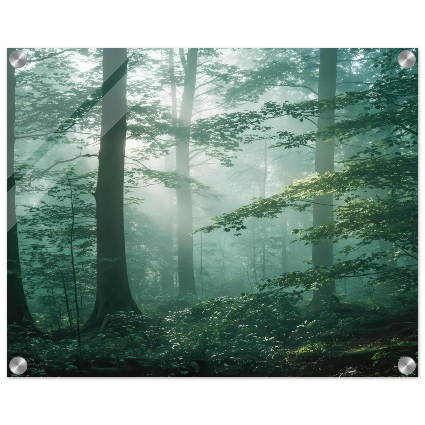 Wandbild mystischer smaragd wald mit sonnenstrahlen beruhigende nebelwald kunst in ihrer wunschgroesse