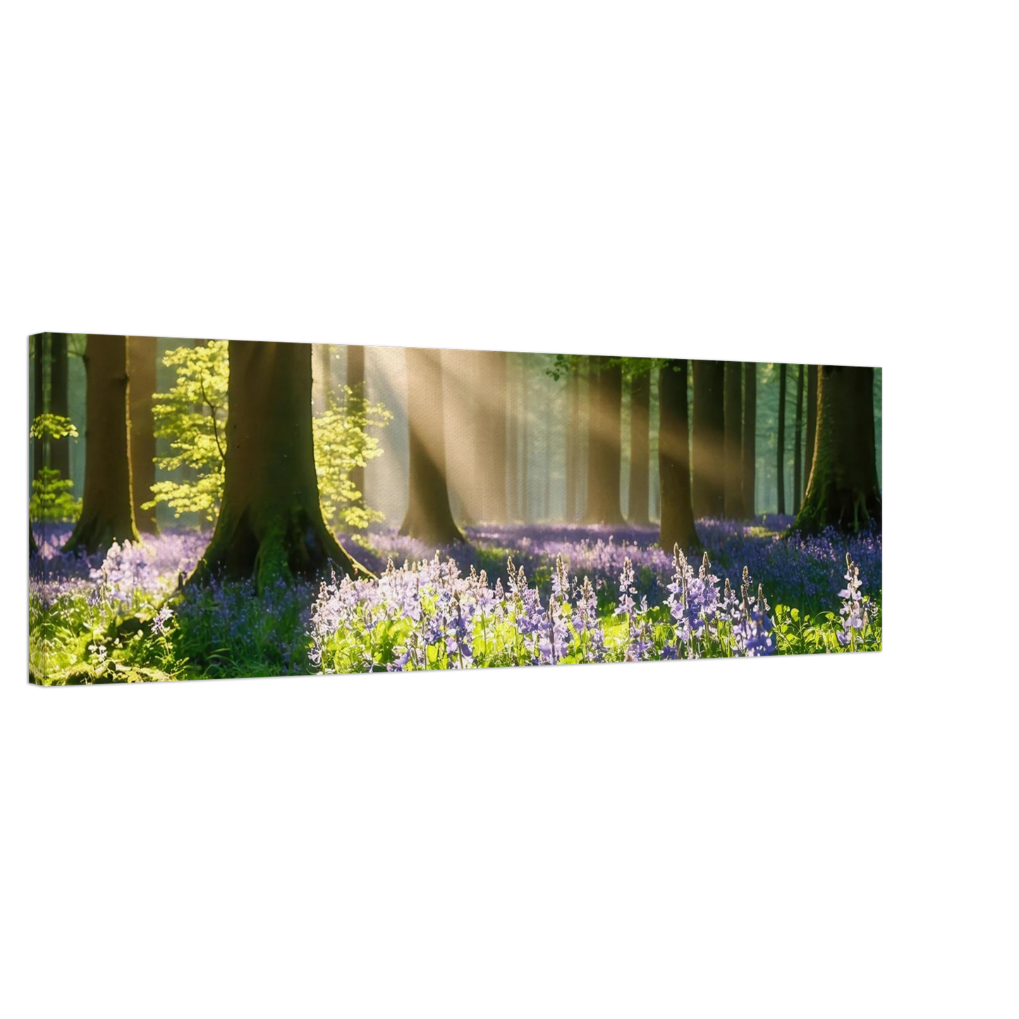 Wandbild mystischer morgenwald mit sonnenstrahlen und lila blueten in vielen groessen