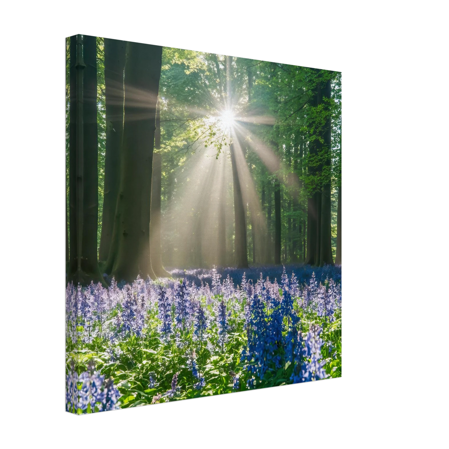 Wandbild bezaubernder wald mit sonnenstrahlen und lila bluetenmeer dein stueck natur
