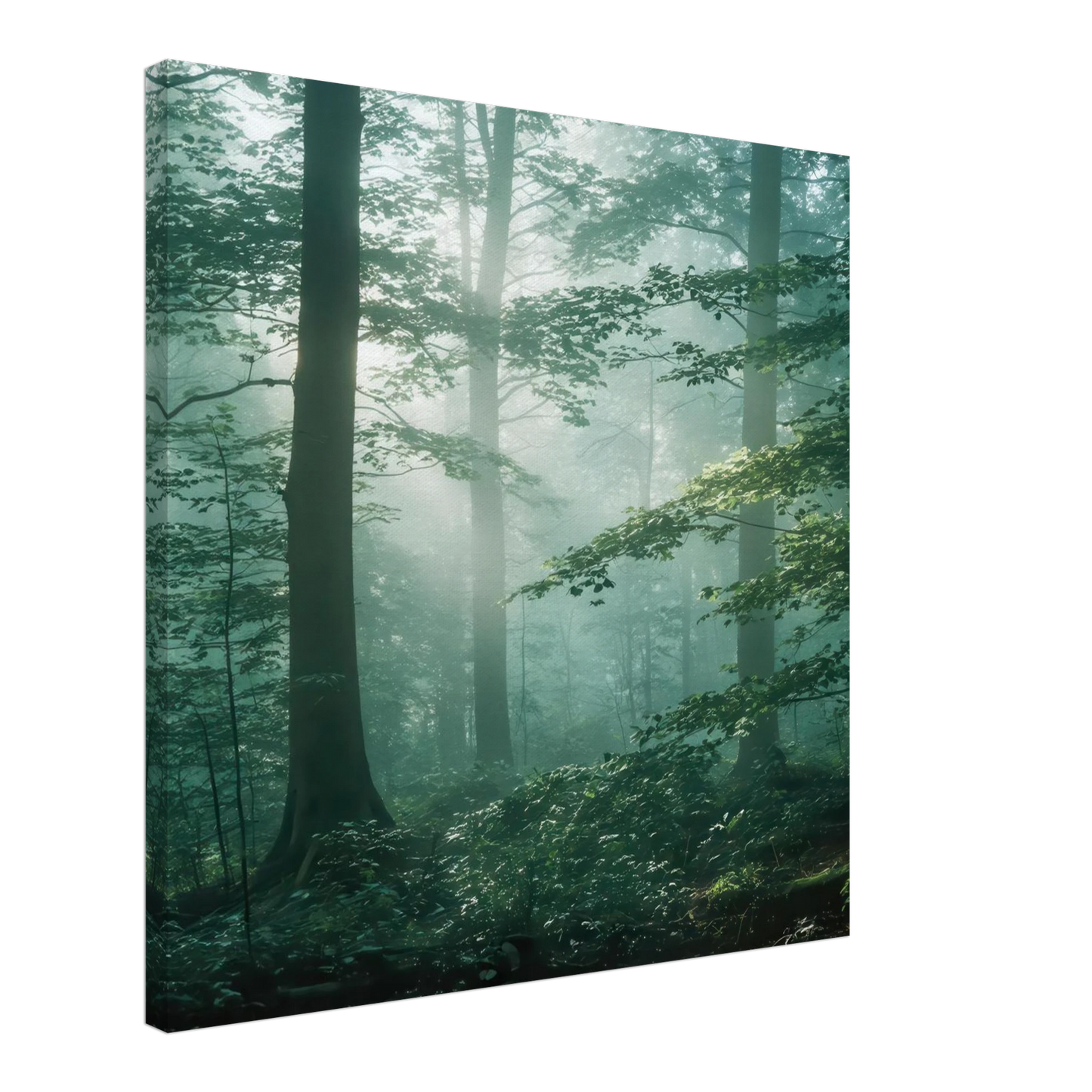 Wandbild mystischer smaragd wald mit sonnenstrahlen beruhigende nebelwald kunst in ihrer wunschgroesse