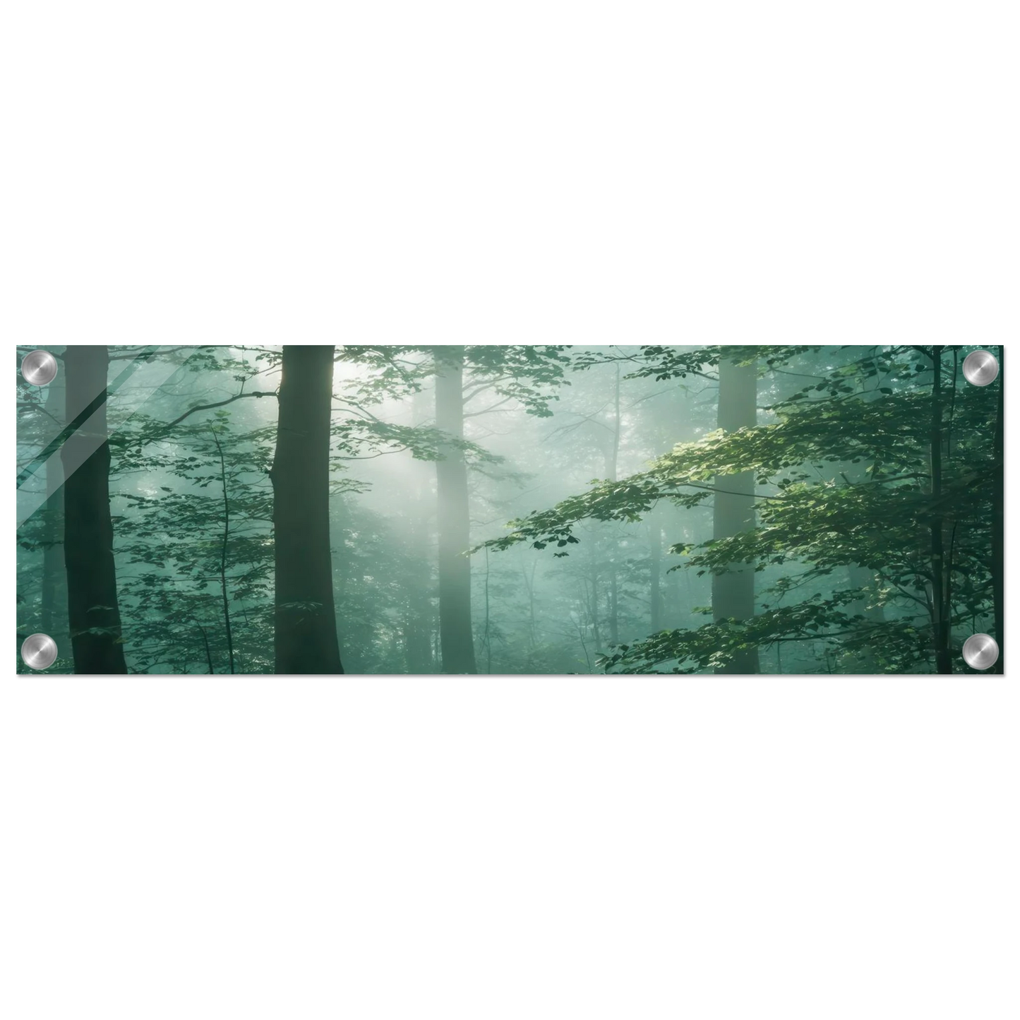 Wandbild mystischer smaragd wald mit sonnenstrahlen beruhigende nebelwald kunst in ihrer wunschgroesse