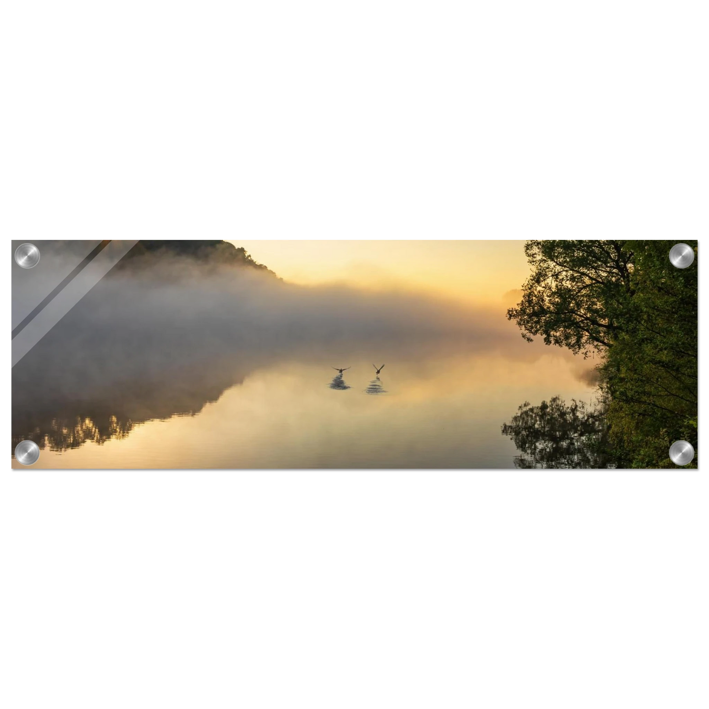 Wandbild mystischer sonnenaufgang ueber dem nebelmeer stille wasser voegel leinwandbild fuer ihr zuhause