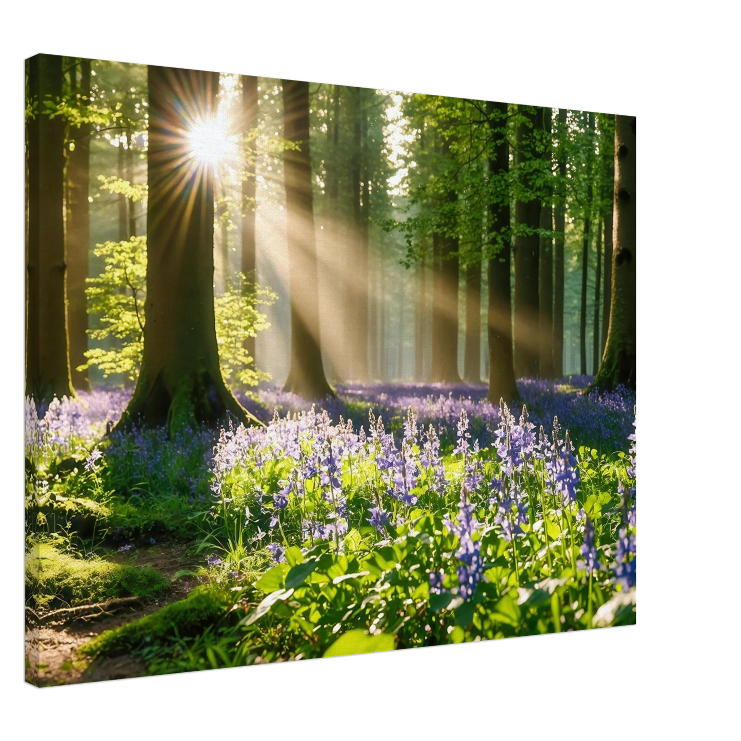 Wandbild mystischer morgenwald mit sonnenstrahlen und lila blueten in vielen groessen