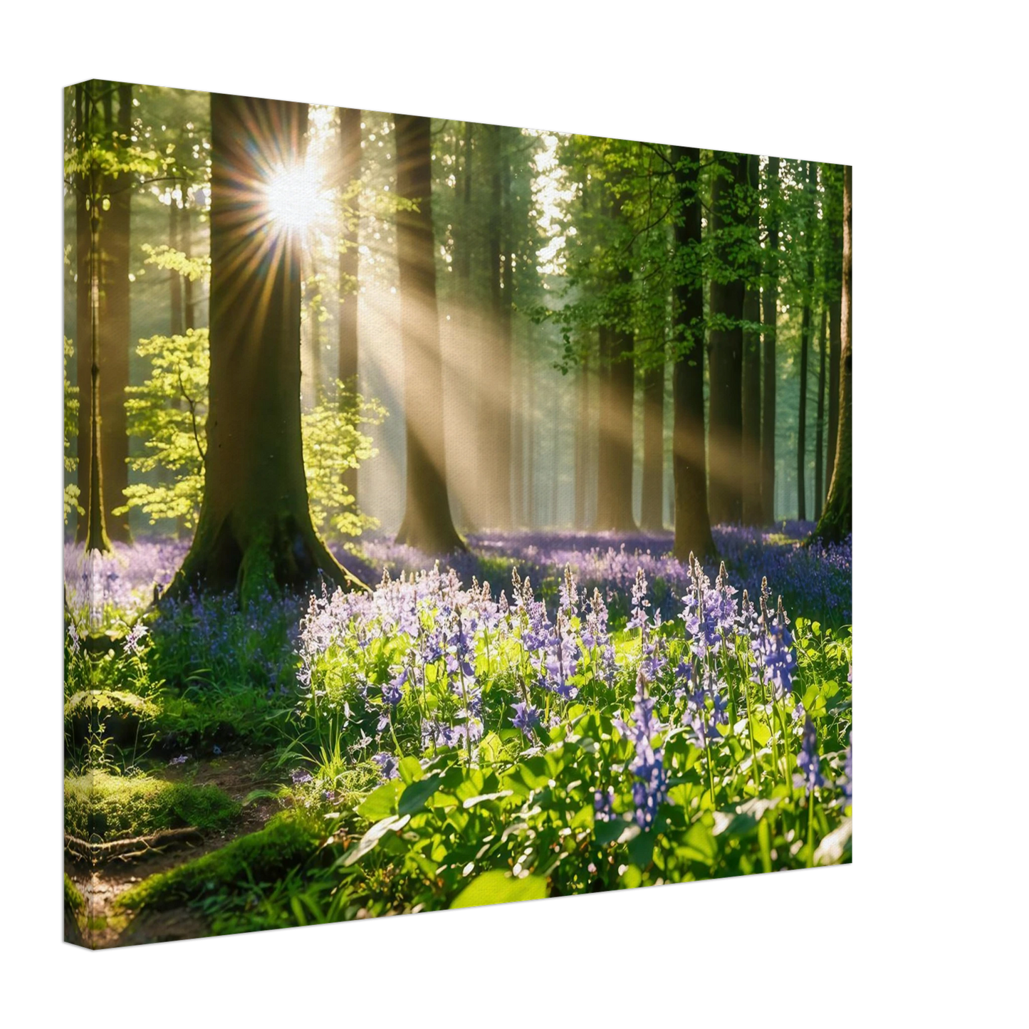 Wandbild mystischer morgenwald mit sonnenstrahlen und lila blueten in vielen groessen