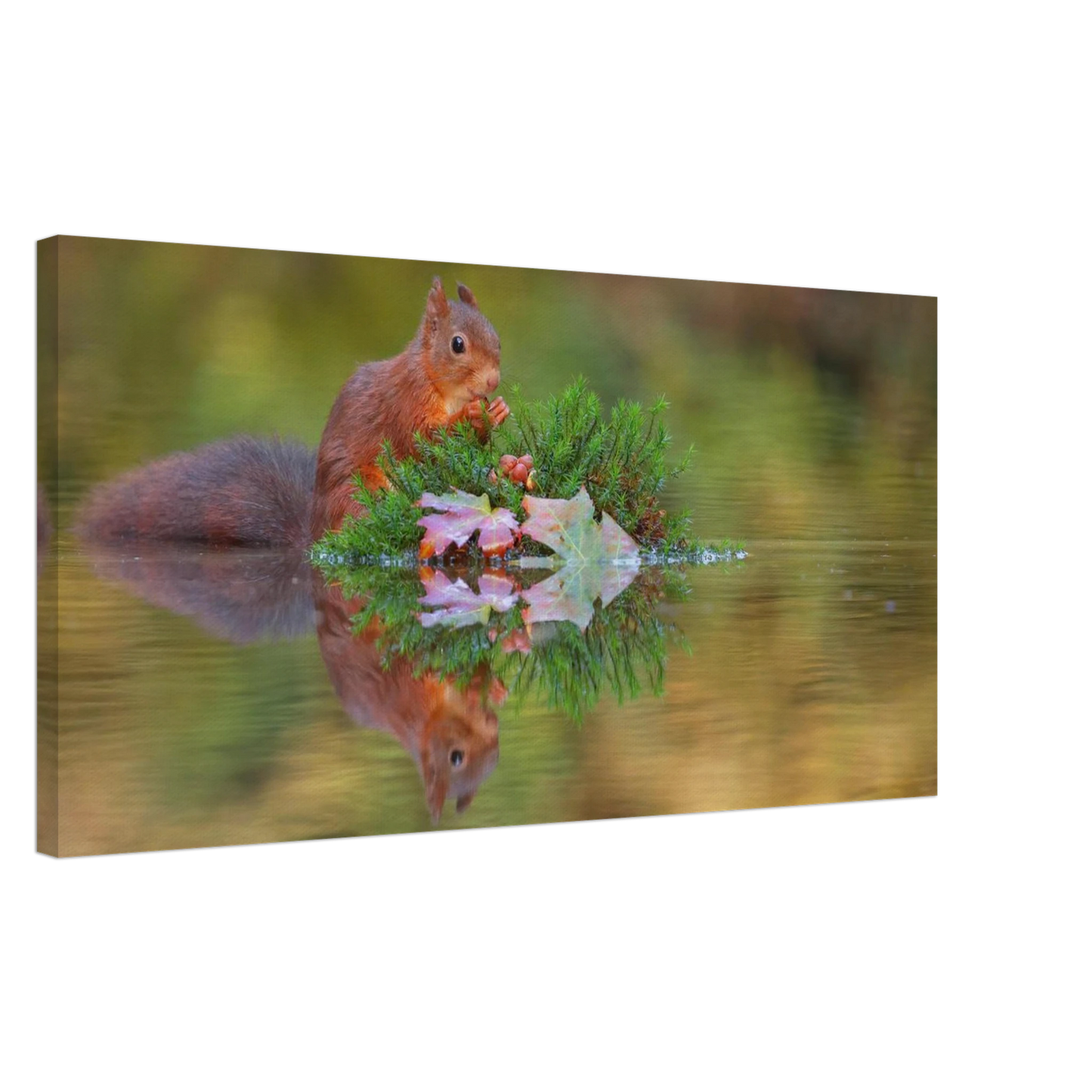 Wandbild bezauberndes eichhoernchen im herbstwald lebendige wildtierkunst fuer ihr zuhause in vielen groessen