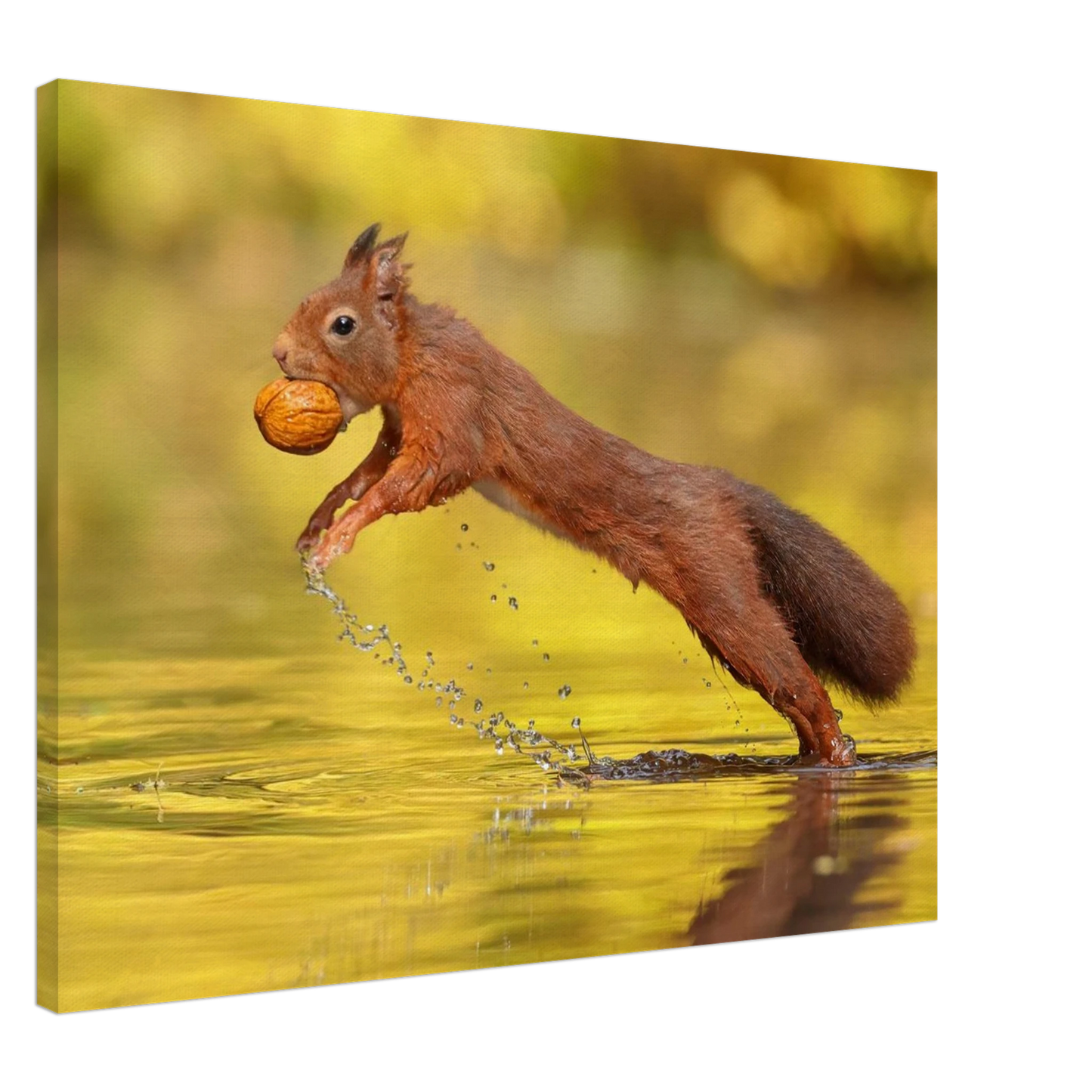 Wandbild eichhoernchen dynamische eichhoernchen kunst in lebhaften herbsttoenen