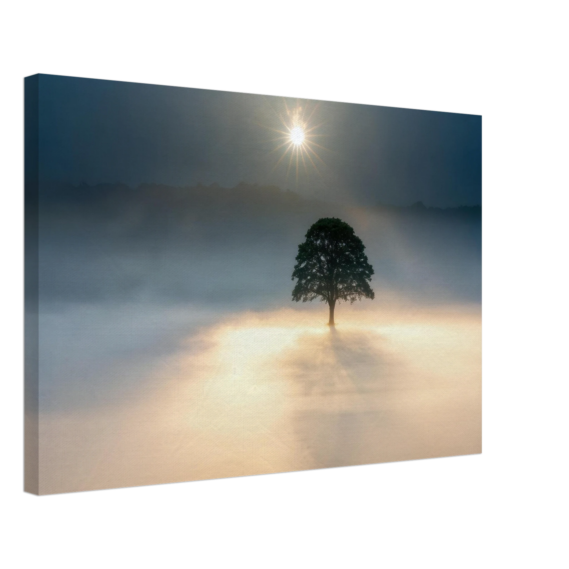 Wandbild mystisches baum wandbild einzelner baum im nebel sonnenaufgang waehlbar in verschiedenen groessen
