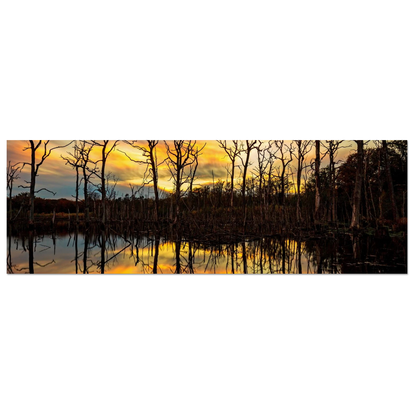 Wandbild mystischer sonnenuntergang ueber dem baumsee lebendige kunstdrucke in vielen groessen