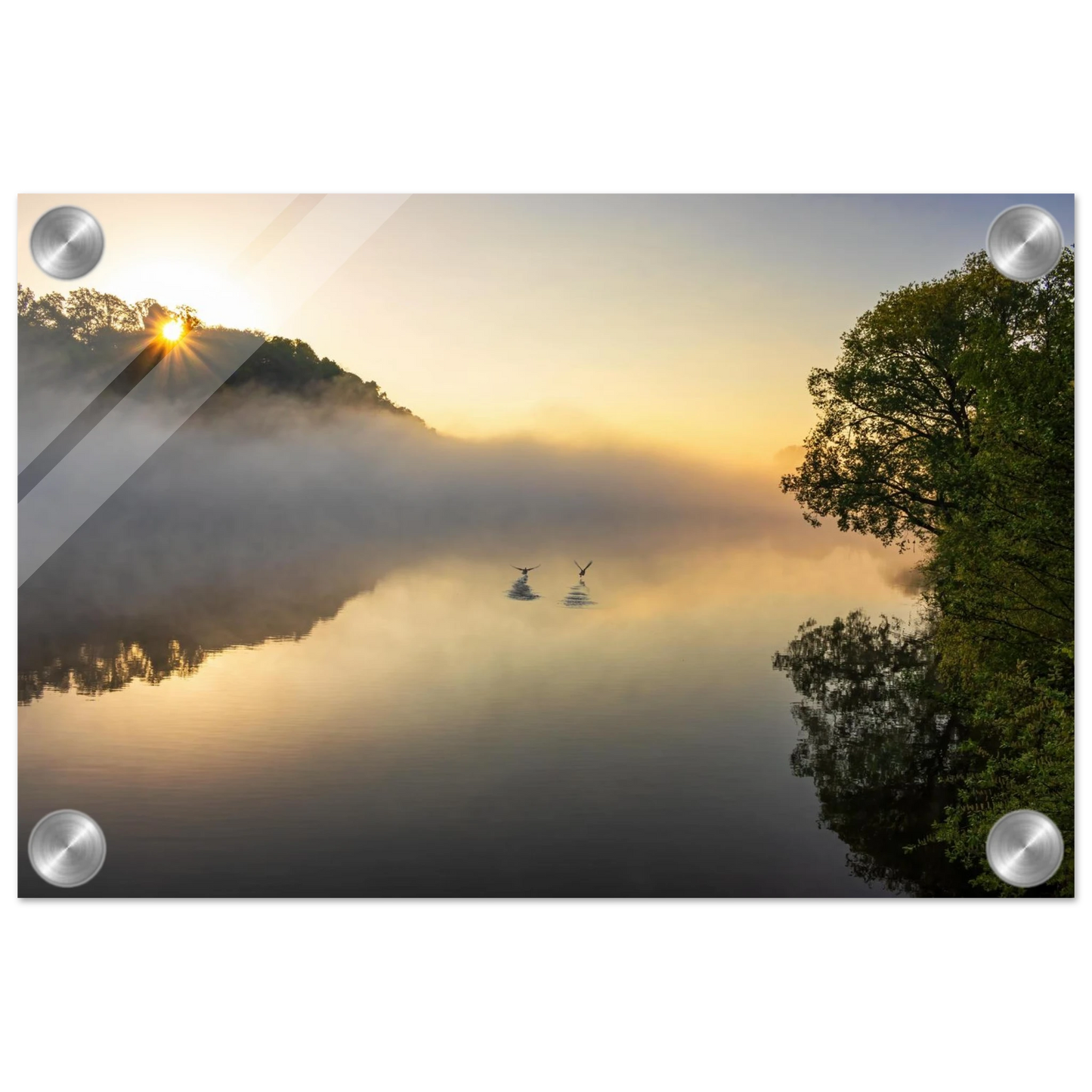 Wandbild mystischer sonnenaufgang ueber dem nebelmeer stille wasser voegel leinwandbild fuer ihr zuhause
