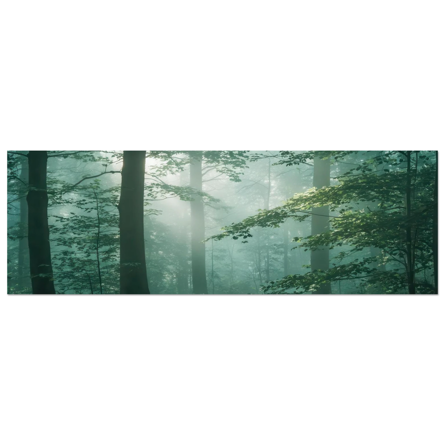 Wandbild mystischer smaragd wald mit sonnenstrahlen beruhigende nebelwald kunst in ihrer wunschgroesse
