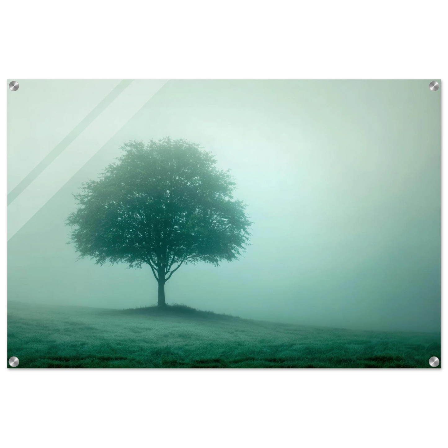 Wandbild mystischer baum im nebel ruhe und gruentoene fuer dein zuhause