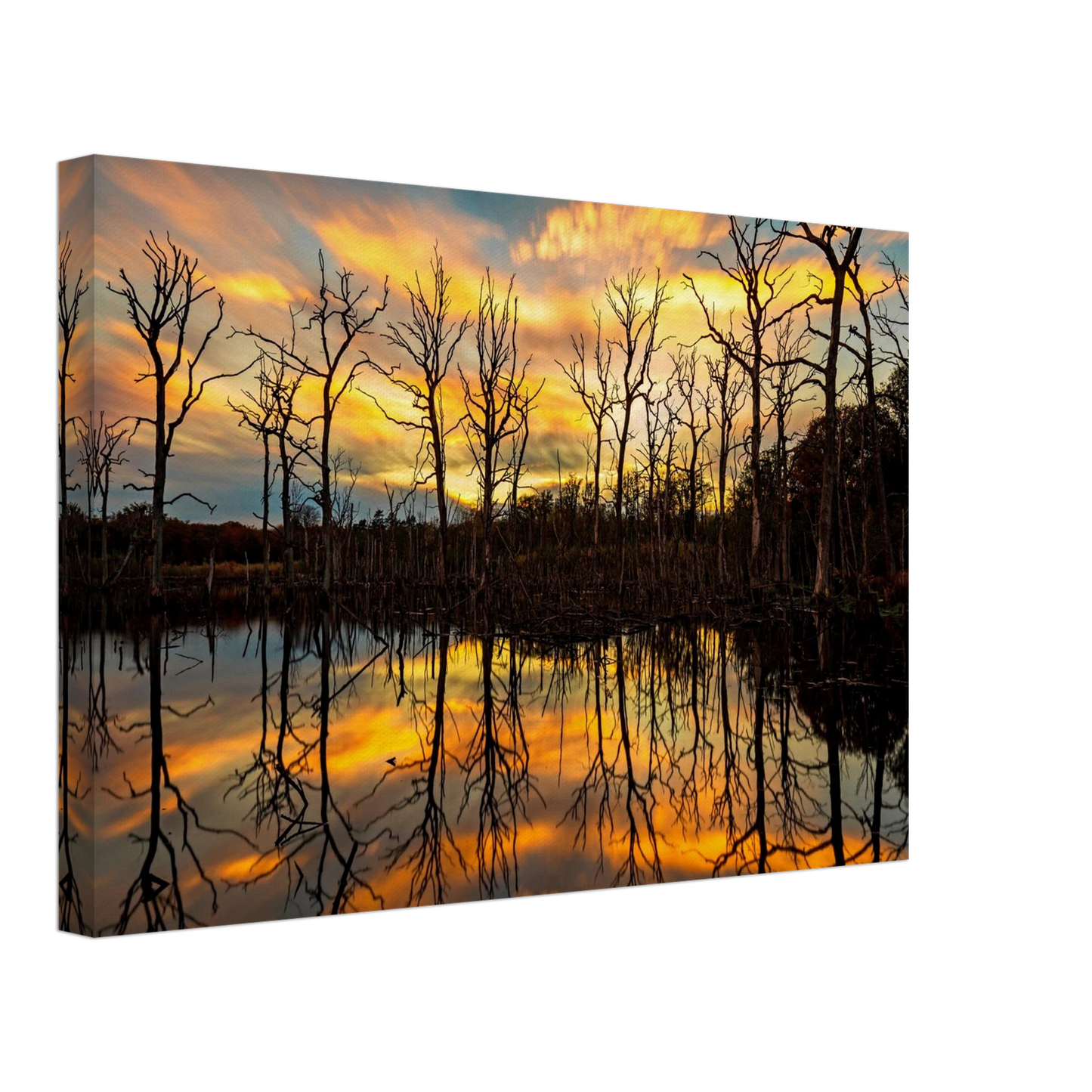 Wandbild mystischer sonnenuntergang ueber dem baumsee lebendige kunstdrucke in vielen groessen