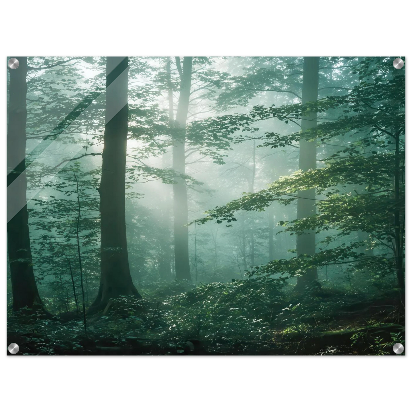 Wandbild mystischer smaragd wald mit sonnenstrahlen beruhigende nebelwald kunst in ihrer wunschgroesse