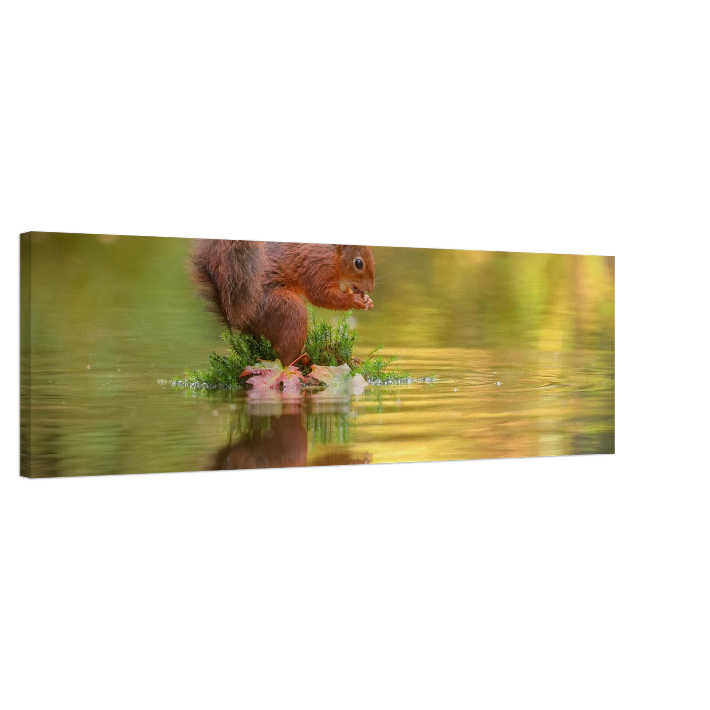Wandbild bezauberndes eichhoernchen mit nuss lebendige wildtierkunst fuer ihr zuhause